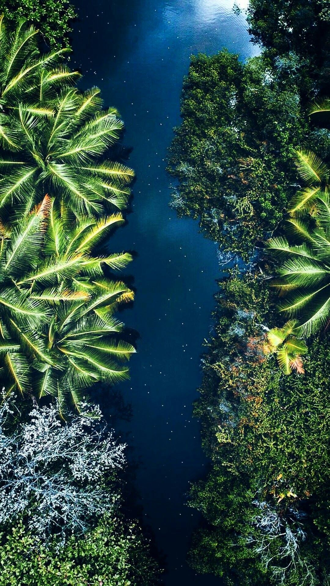 Bali, Luftaufnahme, Fluss, Palmen, Dschungel, Full HD, Handy-Hintergrund im Hochformat