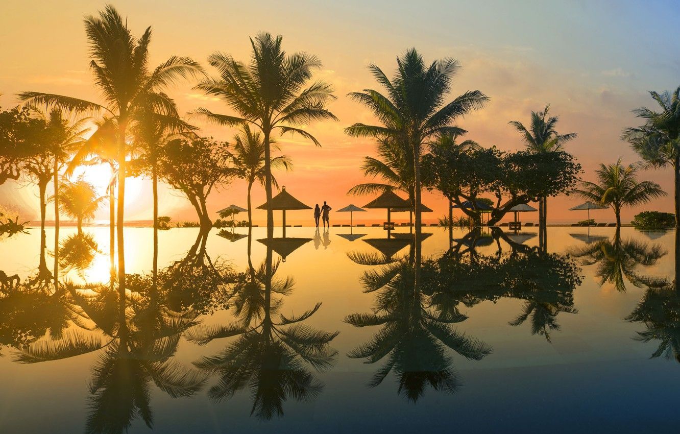 Bali, Palmen, Sonnenuntergang, Spiegelung, Silhouette, Goldenes Licht, HD, Desktop-Hintergrund