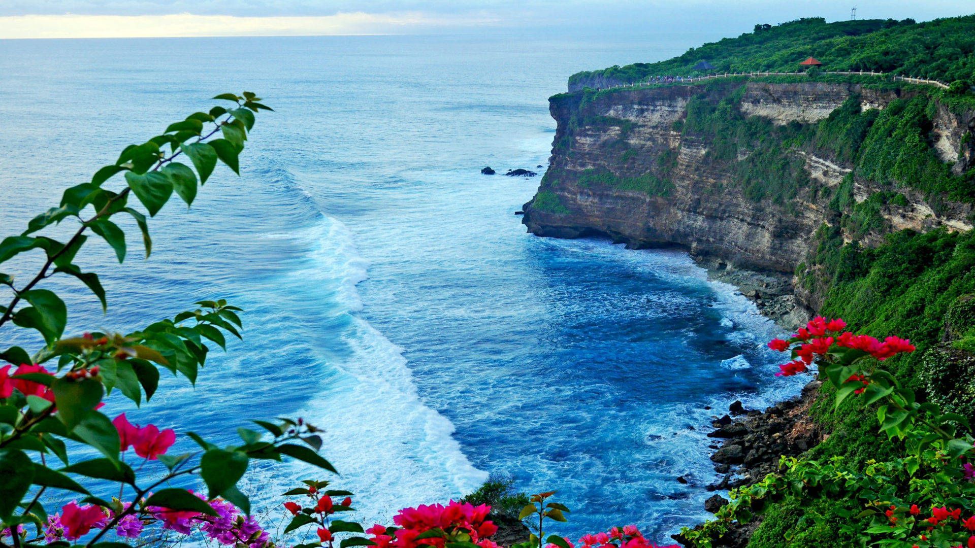 Uluwatu, Bali, Klippen, Brandung, Blumen, Steilküste, 16:9, Full-HD-Hintergrundbild für den Desktop