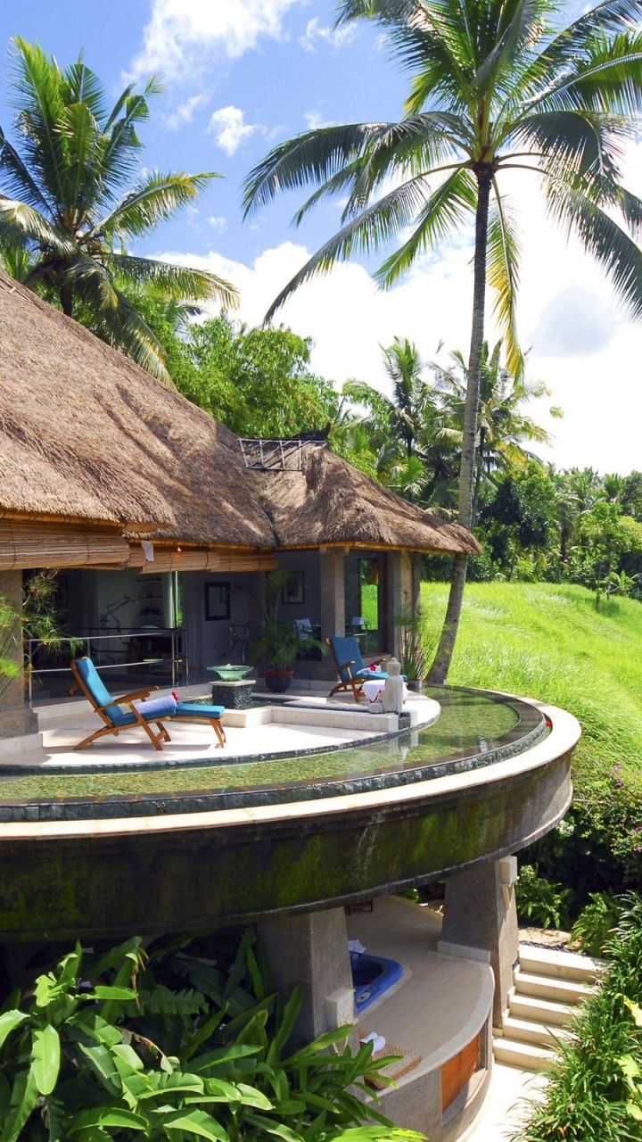 Bali, Villa, Strohdach, Palmen, Tropenresort, HD, Hintergrundbild fürs Handy