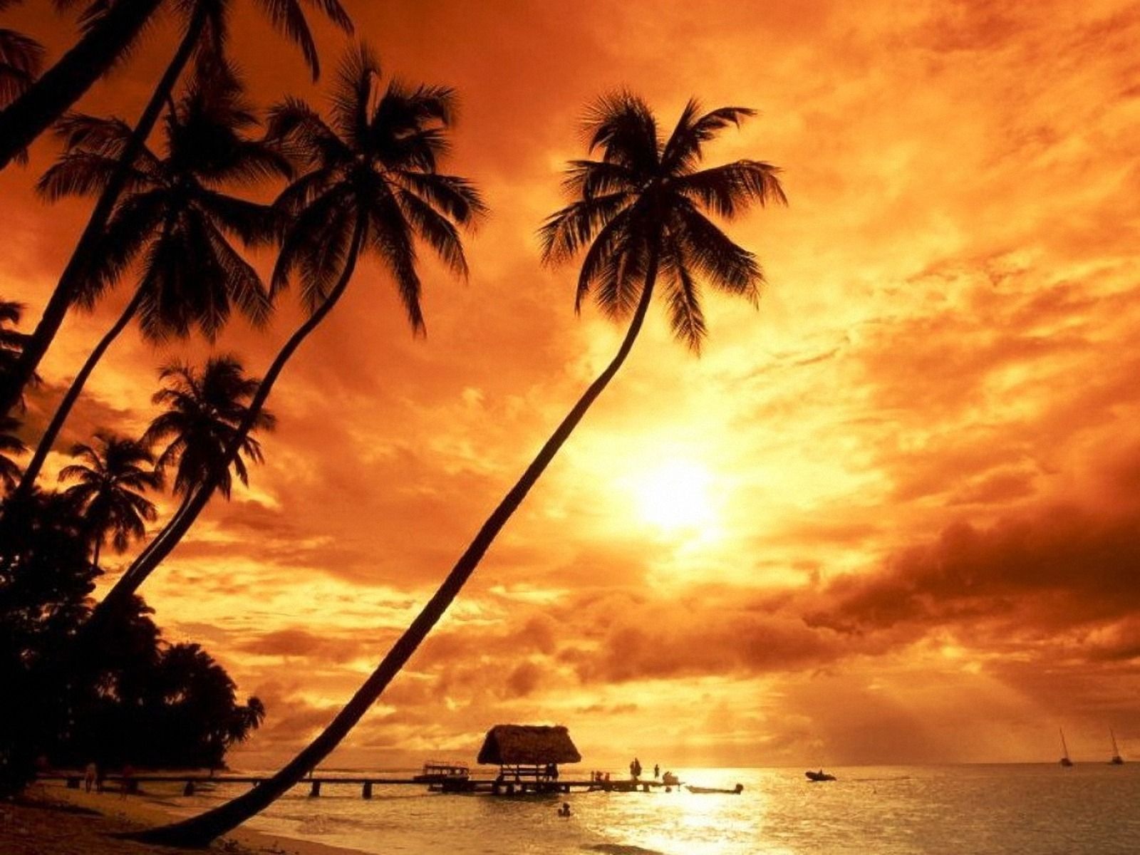 Palmen, Sonnenuntergang, Oranger Himmel, Silhouette, Steg, Tropen, HD, iPad-Hintergrundbild