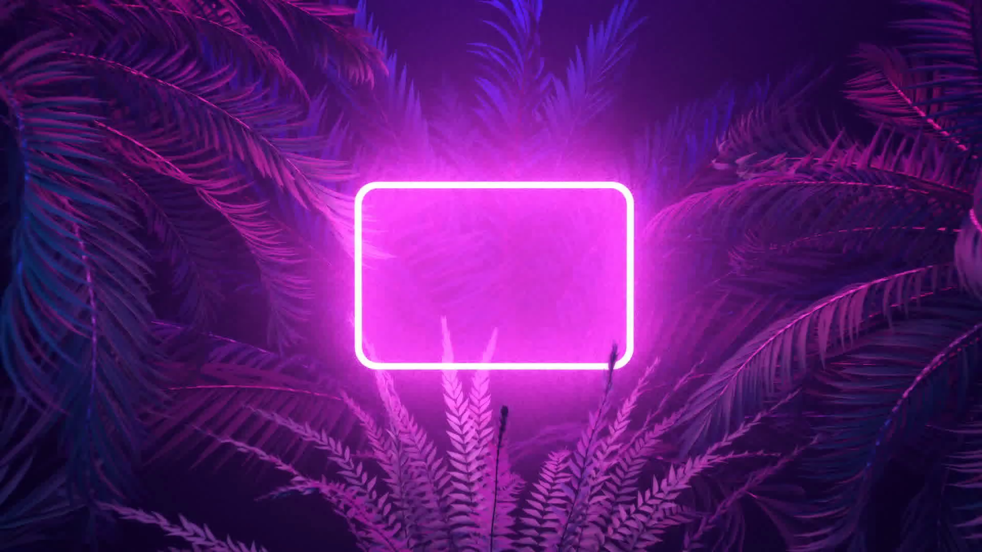 Neonrahmen, Rechteck, Tropische Blätter, Pink, Lila, 1920x1080, Full-HD-Hintergrundbild für PC