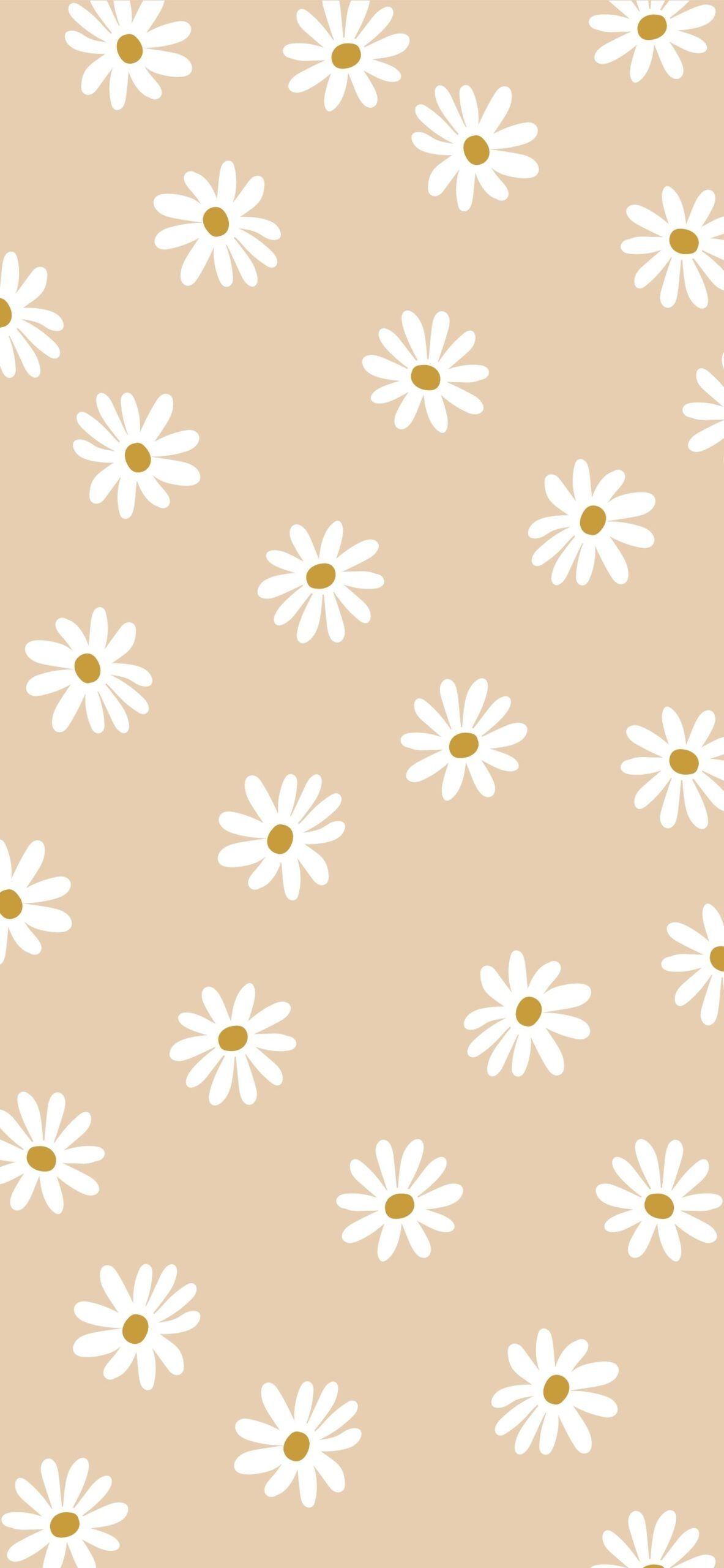 Gänseblümchen, Muster, Sandfarben, Niedlich, Full HD, Hintergrundbild fürs Handy