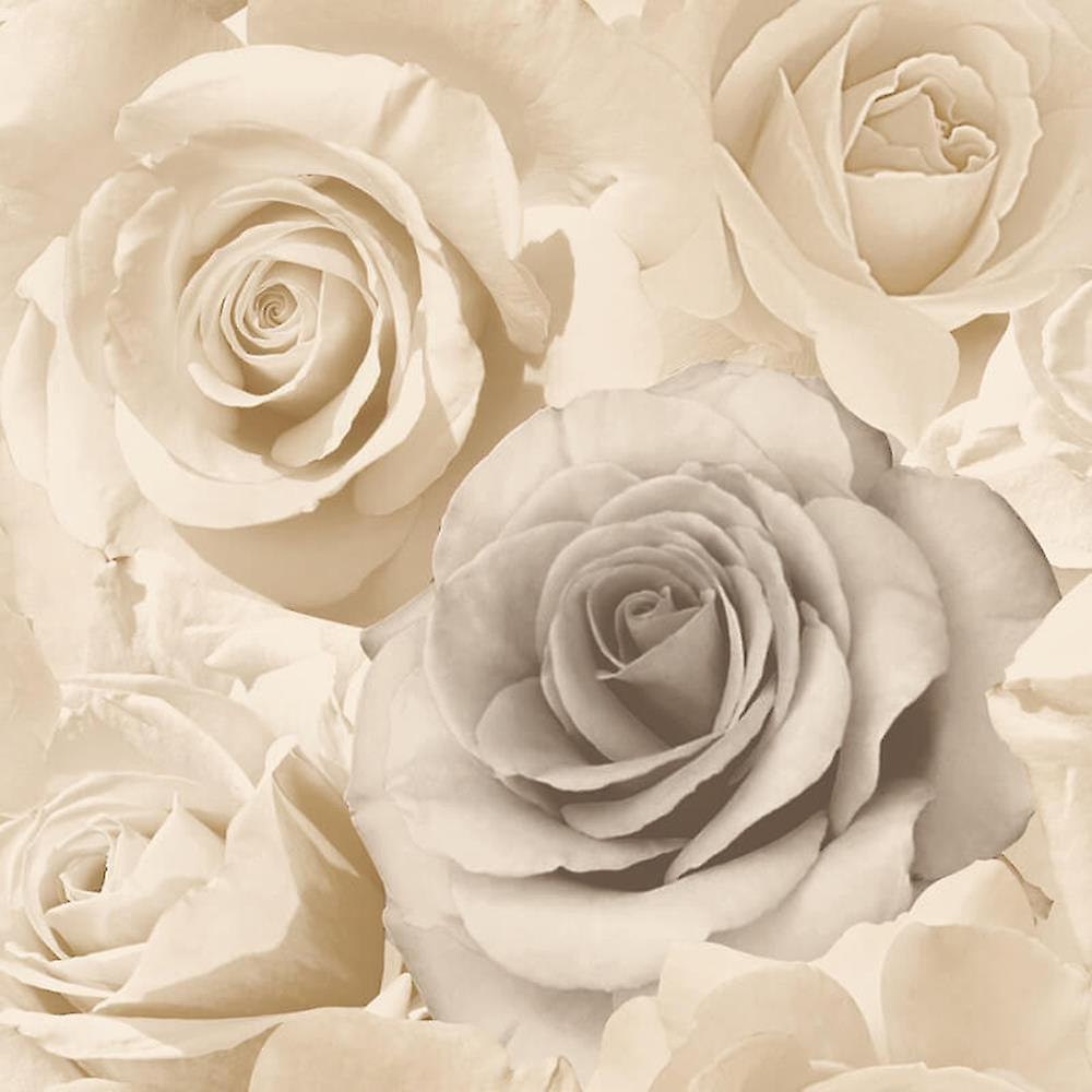 Rosen, Cremefarben, Blumen, Romantisch, Nahaufnahme, Hintergrundbild für iPad und Tablet