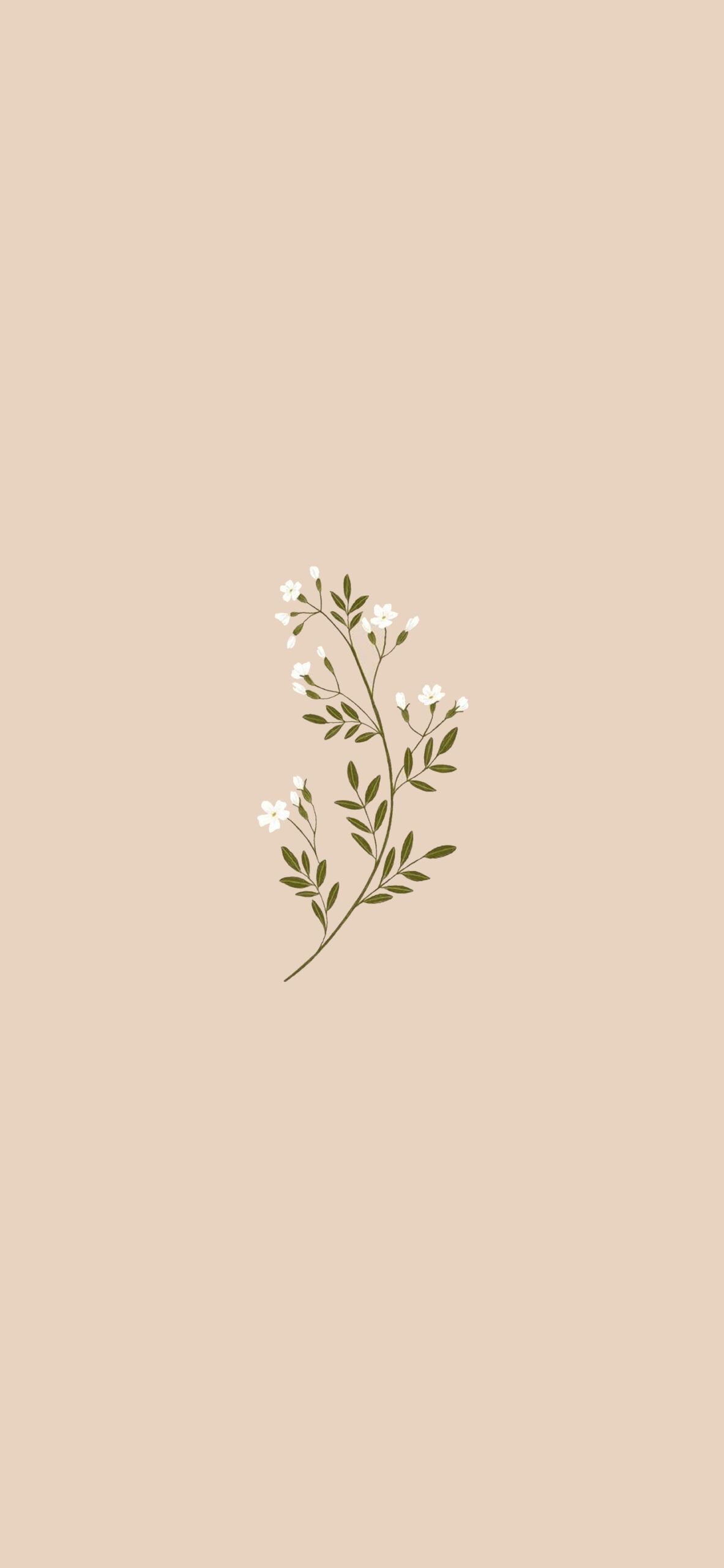 Zweig, Minimalismus, Sandfarben, Botanisch, Zeichnung, Hintergrundbild für iPhone und Android