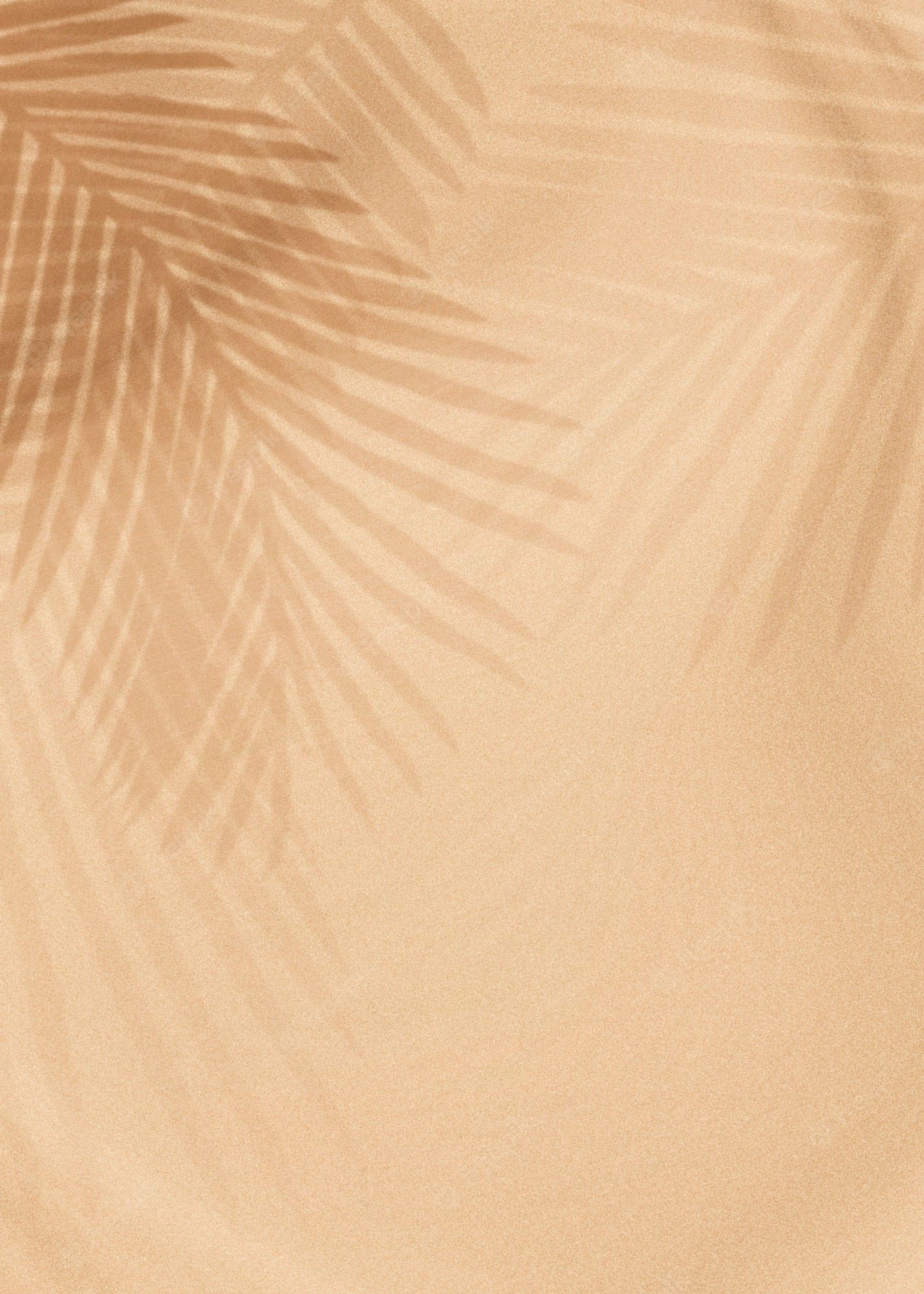 Palmenschatten, Schattenspiel, Pfirsich, Warmes Licht, Full HD, Hintergrundbild fürs Tablet