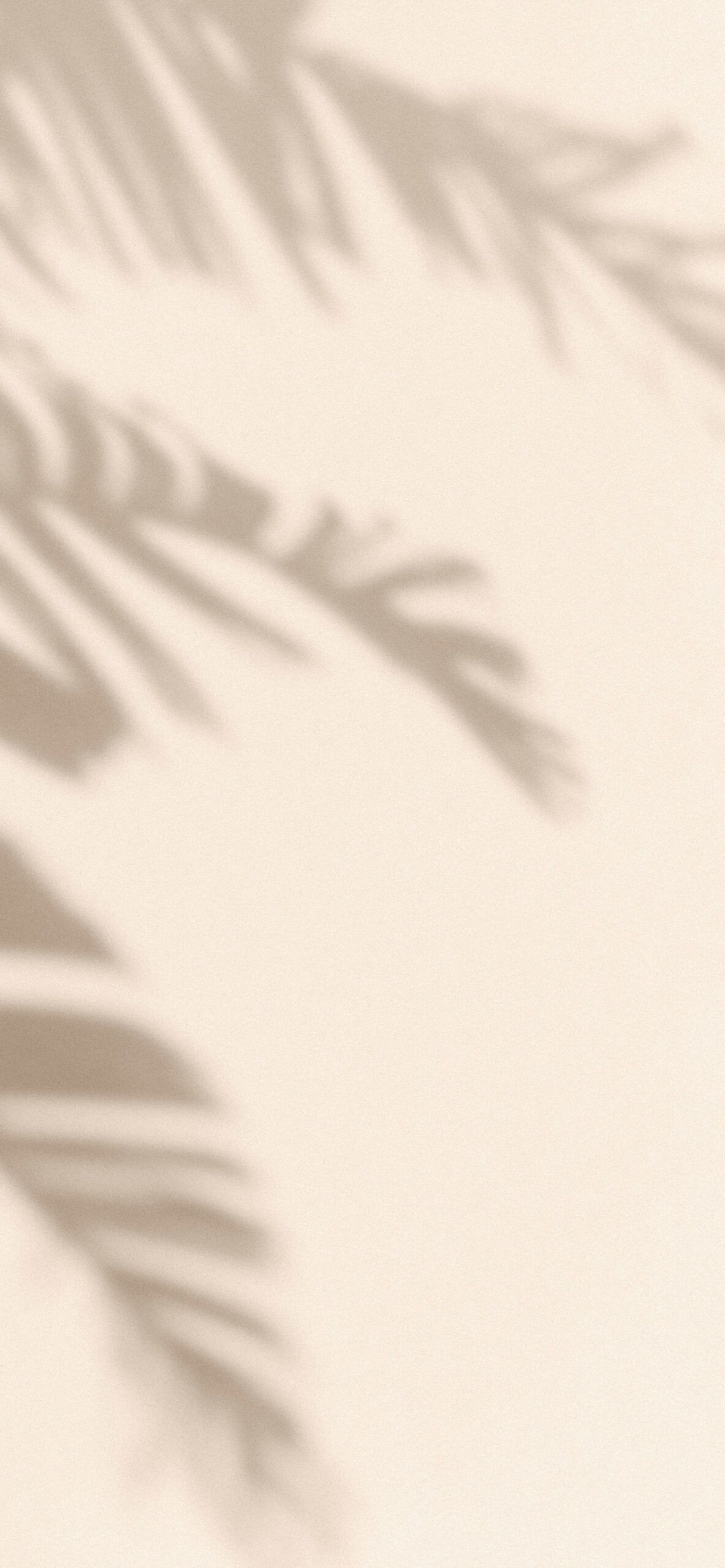 Palmblattschatten, Schattenspiel, Creme, Minimalismus, Hintergrundbild für iPhone und Android