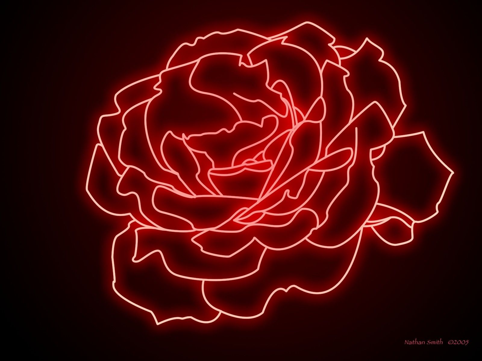 Neonrose, Rot, Linienkunst, Rose, Dunkelrot, Hintergrundbild für iPad und Tablet