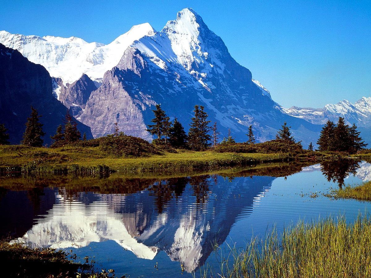 Schneegipfel, Bergsee, Spiegelung, Nadelbäume, Blauer Himmel, Hintergrundbild fürs iPad