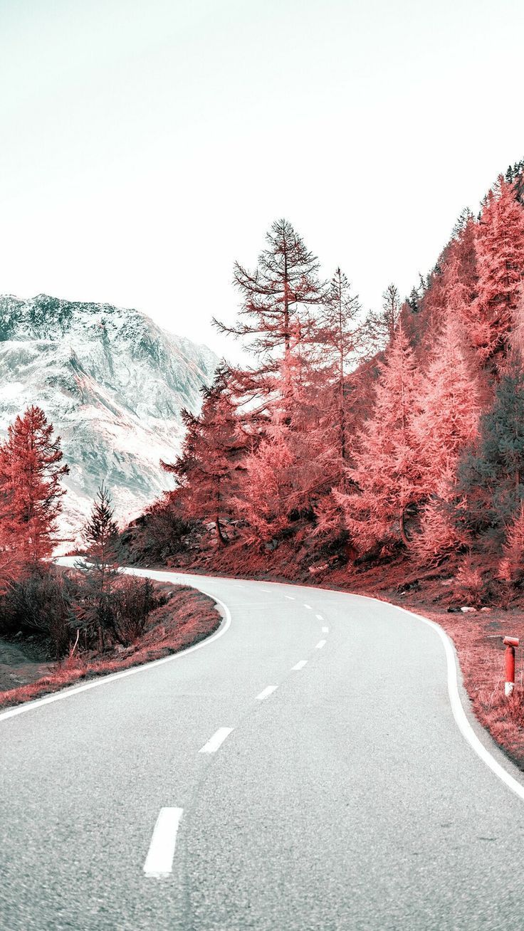 Bergstraße, Kurvige Straße, Rote Bäume, Schneegipfel, Herbst, Android-Hintergrundbild