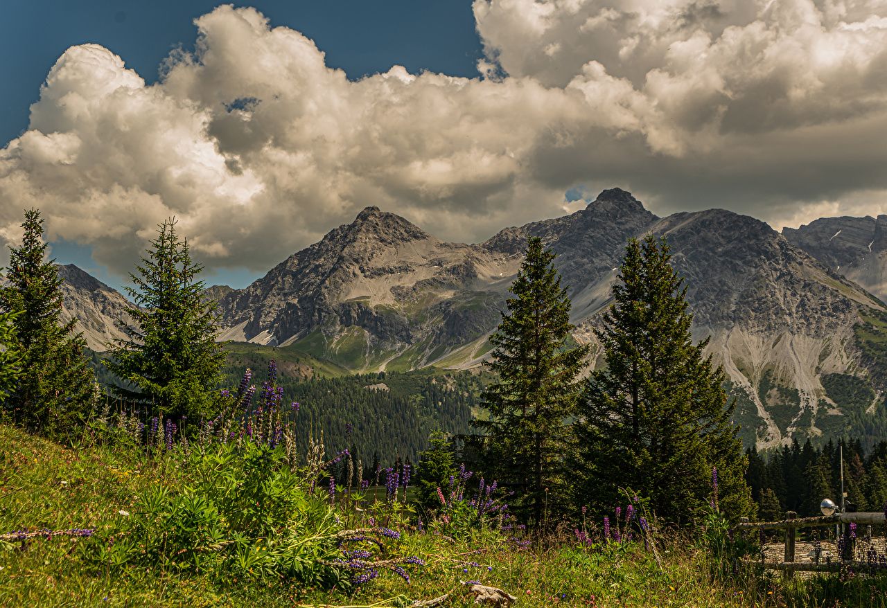 Bergkette, Nadelbäume, Wolken, Sommer, Wiese, HD, Hintergrundbild für den PC