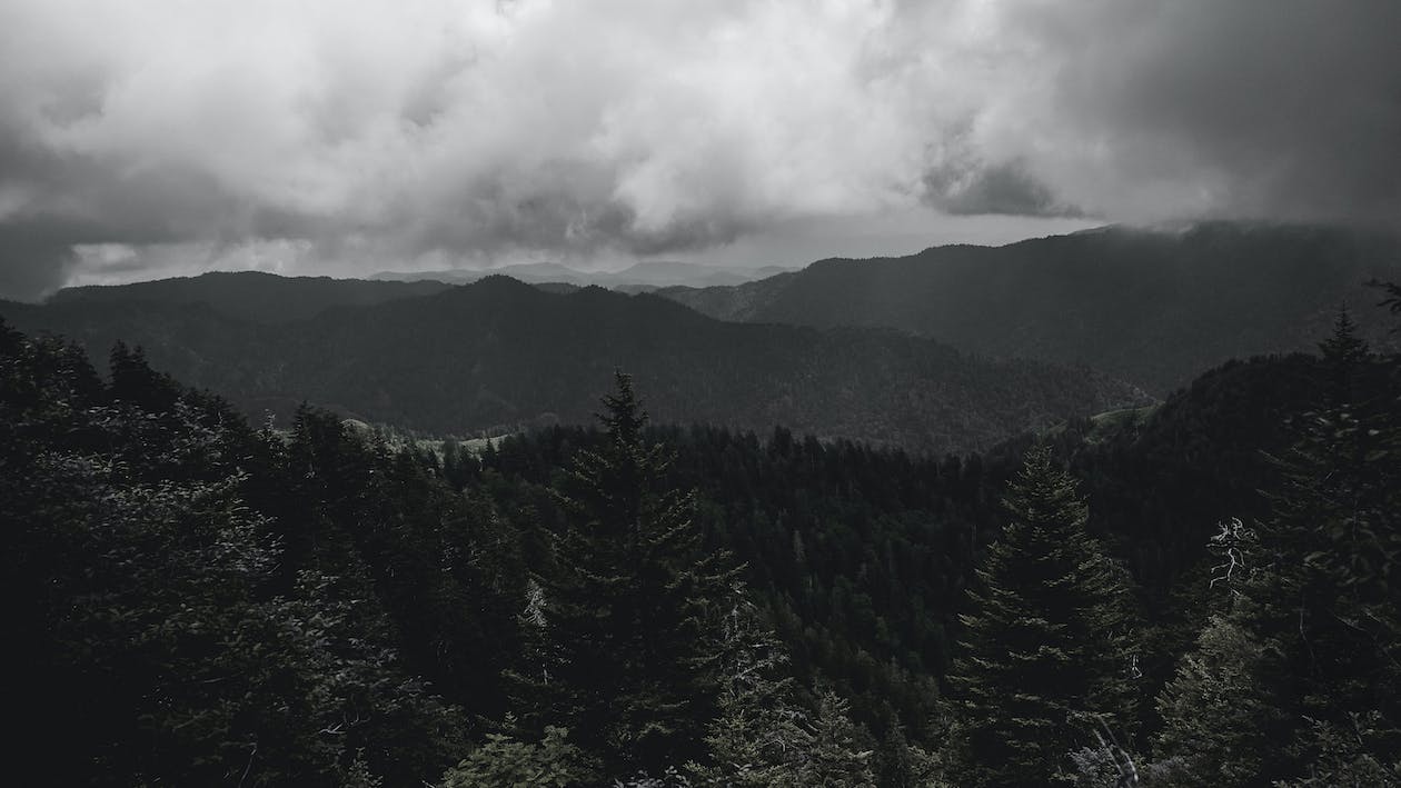 Bergwald, Nebel, Schwarz-Weiß, Dunkle Wolken, Düster, Hintergrund
