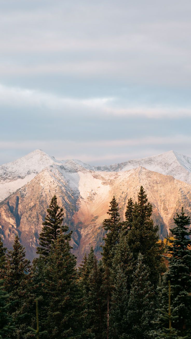 Schneegipfel, Alpenglühen, Nadelbäume, Pastellhimmel, HD, Sperrbildschirm fürs iPhone