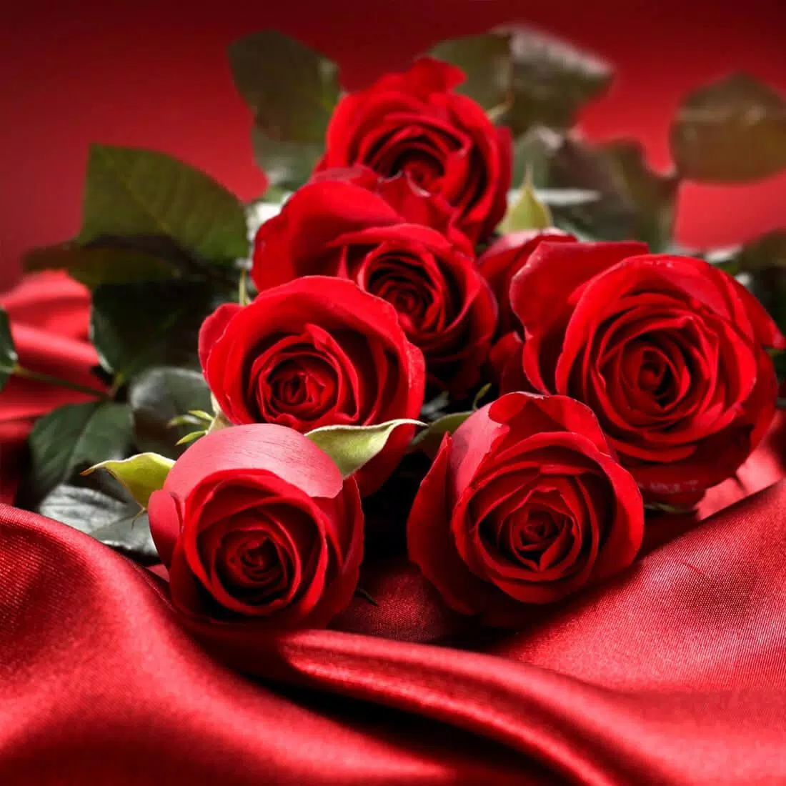 Rote Rosen, Rosenstrauß, Satin, Romantik, Valentinstag, Hintergrundbild für iPad und Tablet