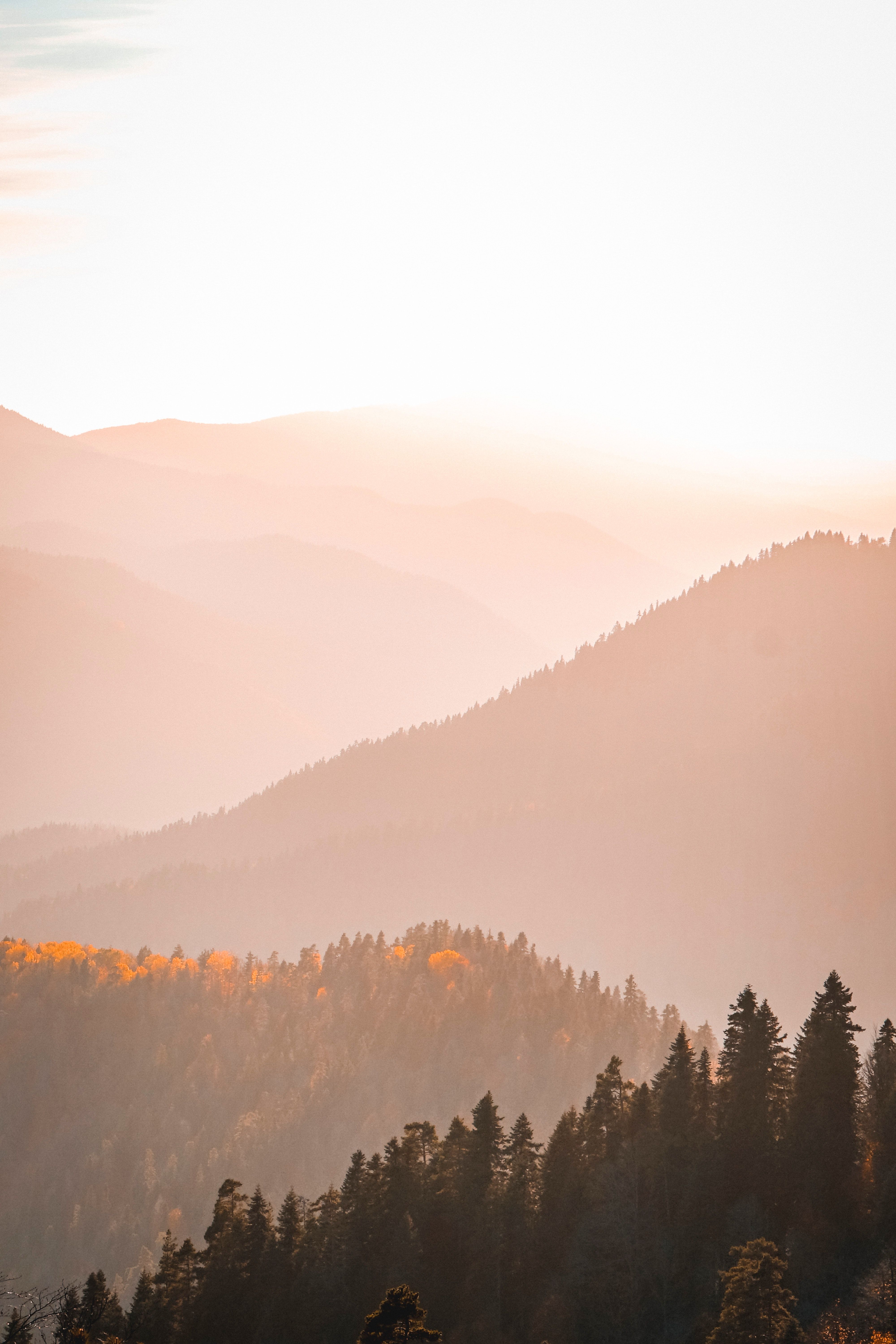 Bergketten, Dunst, Sonnenaufgang, Nadelbäume, Pastell, QHD+, Sperrbildschirm fürs iPhone