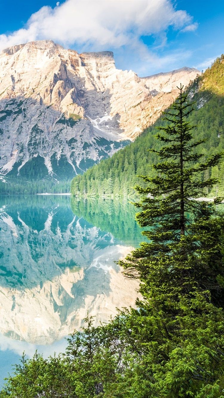 Bergsee, Spiegelung, Nadelbäume, Felsgipfel, Türkis, HD, Sperrbildschirm fürs iPhone
