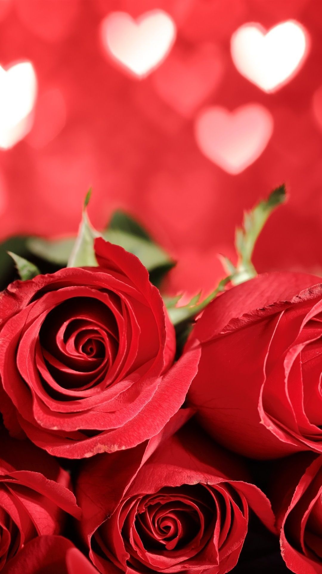 Rote Rosen, Herzen, Bokeh, Valentinstag, Full HD, Handy-Hintergrund im Hochformat