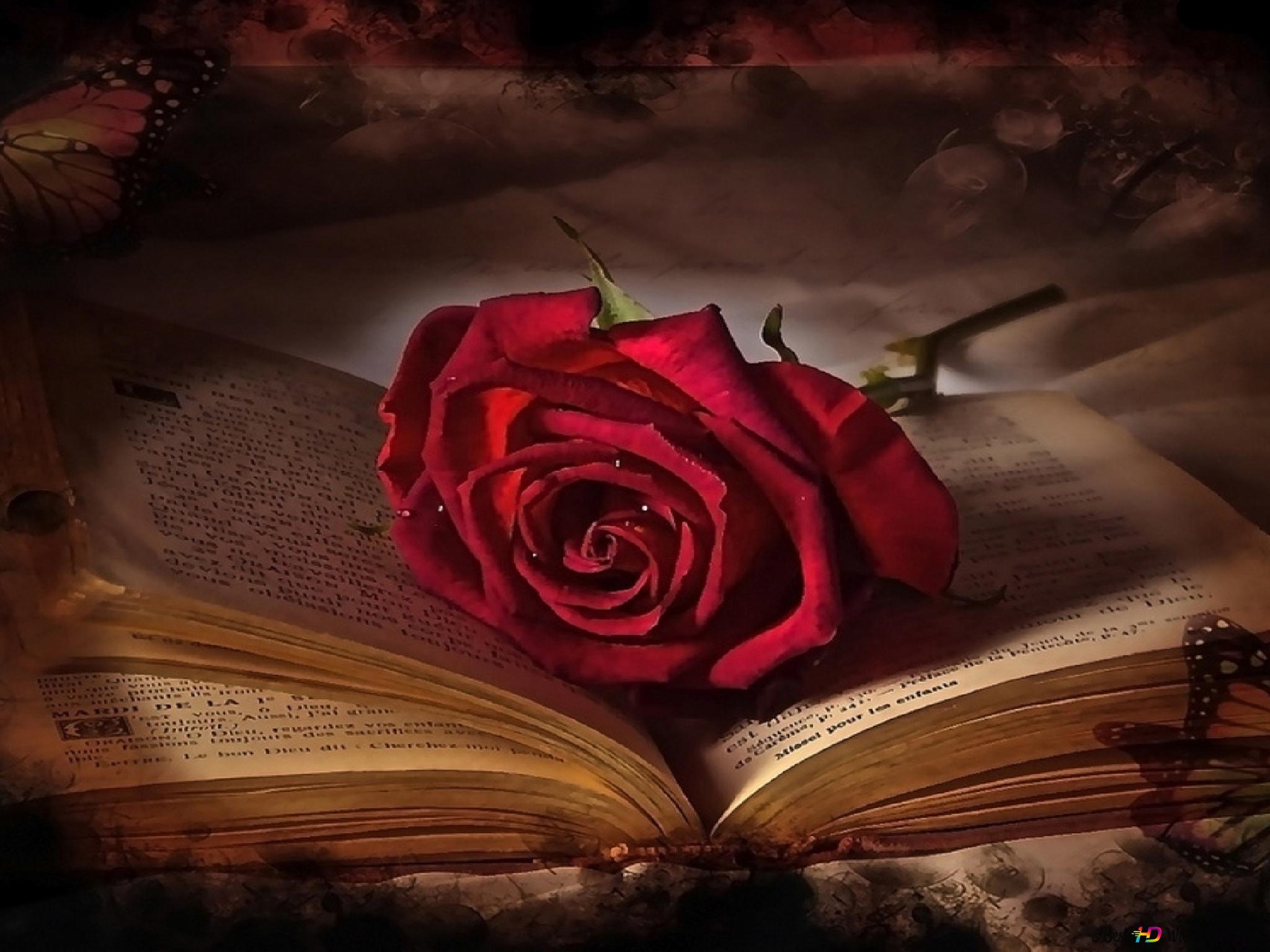 Rote Rose, Altes Buch, Romantik, Vintage, Stillleben, Full HD, iPad-Hintergrundbild