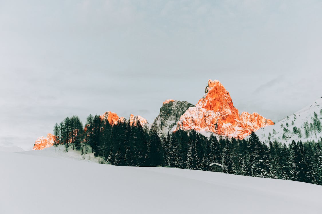 Felsgipfel, Alpenglühen, Verschneiter Wald, Winter, Nebel, Hintergrund
