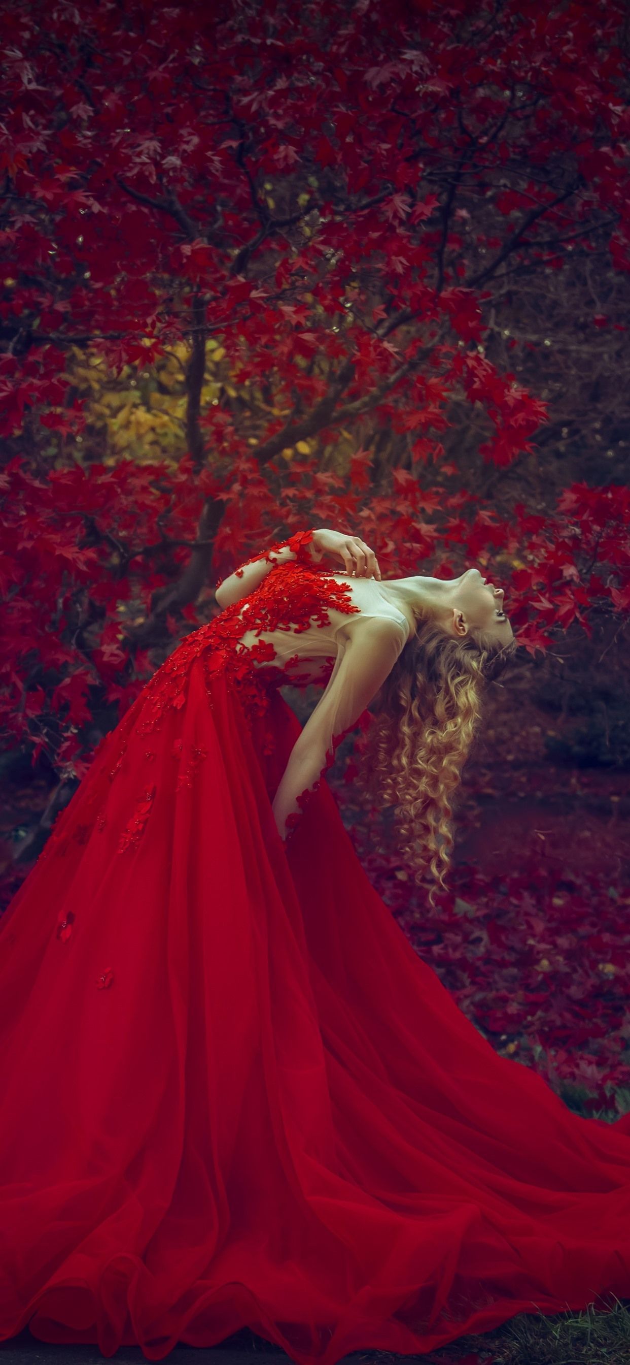 Frau im roten Kleid, Fantasy, Wald, Rotes Laub, Märchenhaft, 1242x2688, Handy-Hintergrund