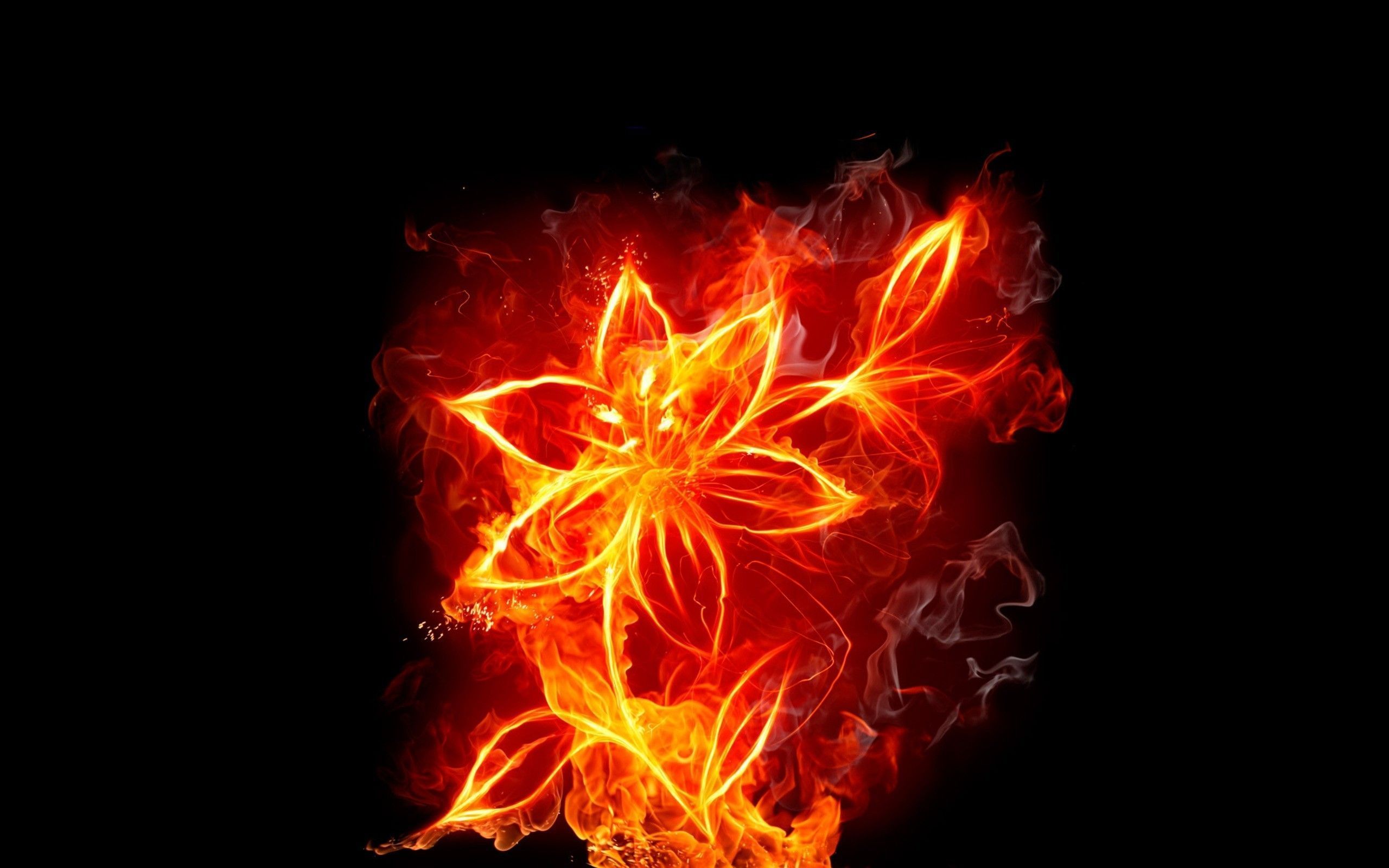Feuerblume, Flammen, Digitale Kunst, Schwarzer Hintergrund, 2K Wallpaper
