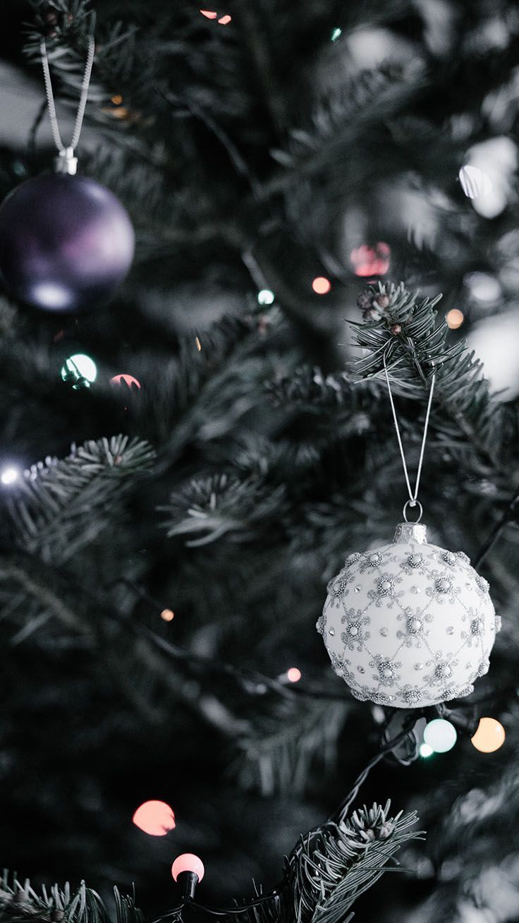 Christbaumkugel, Tannenzweige, Weihnachten, Schwarz-Weiß, Android-Hintergrundbild