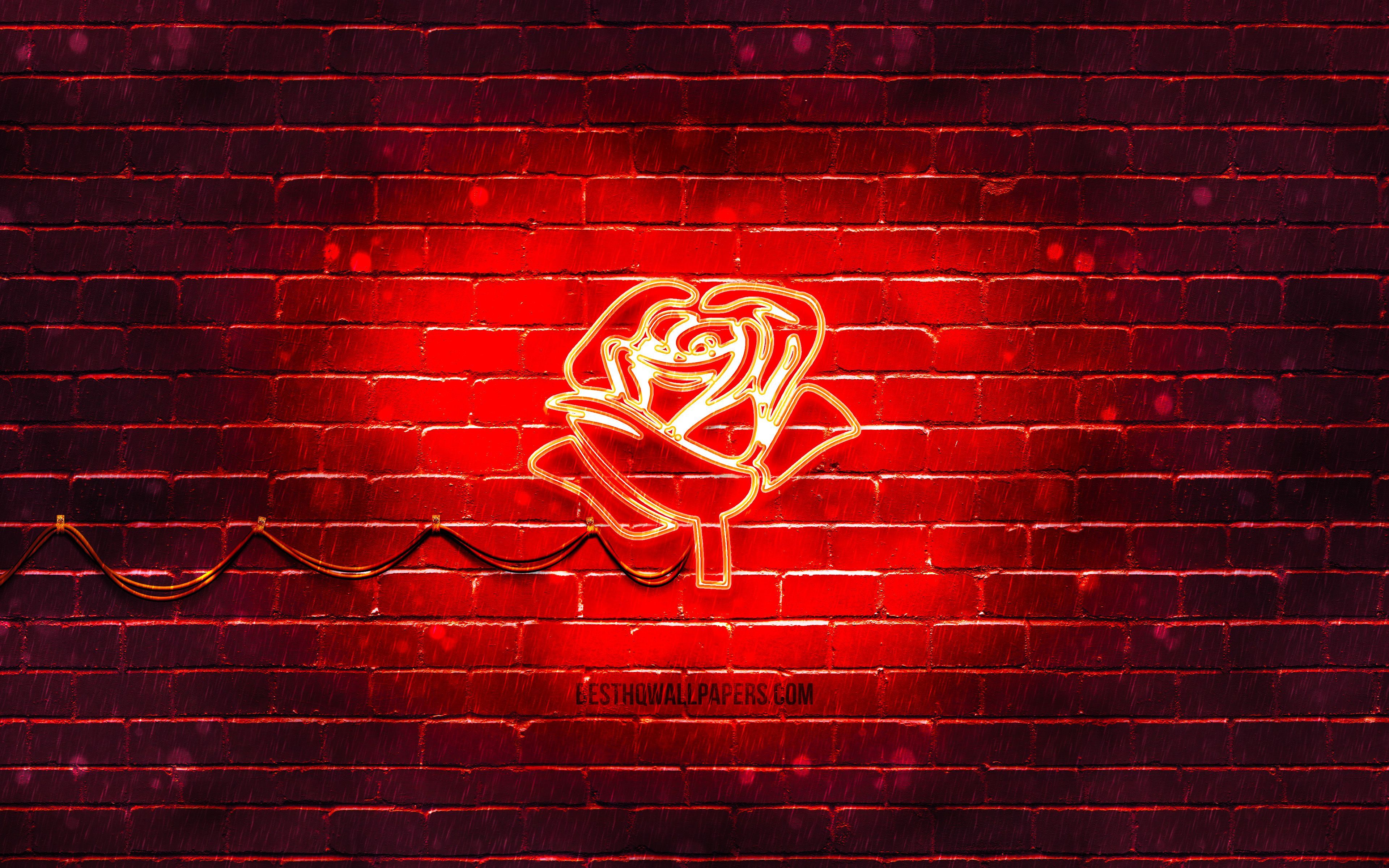Neonrose, Ziegelwand, Neonlicht, Leuchtend, 16:10, 4K-Hintergrundbild für den Desktop