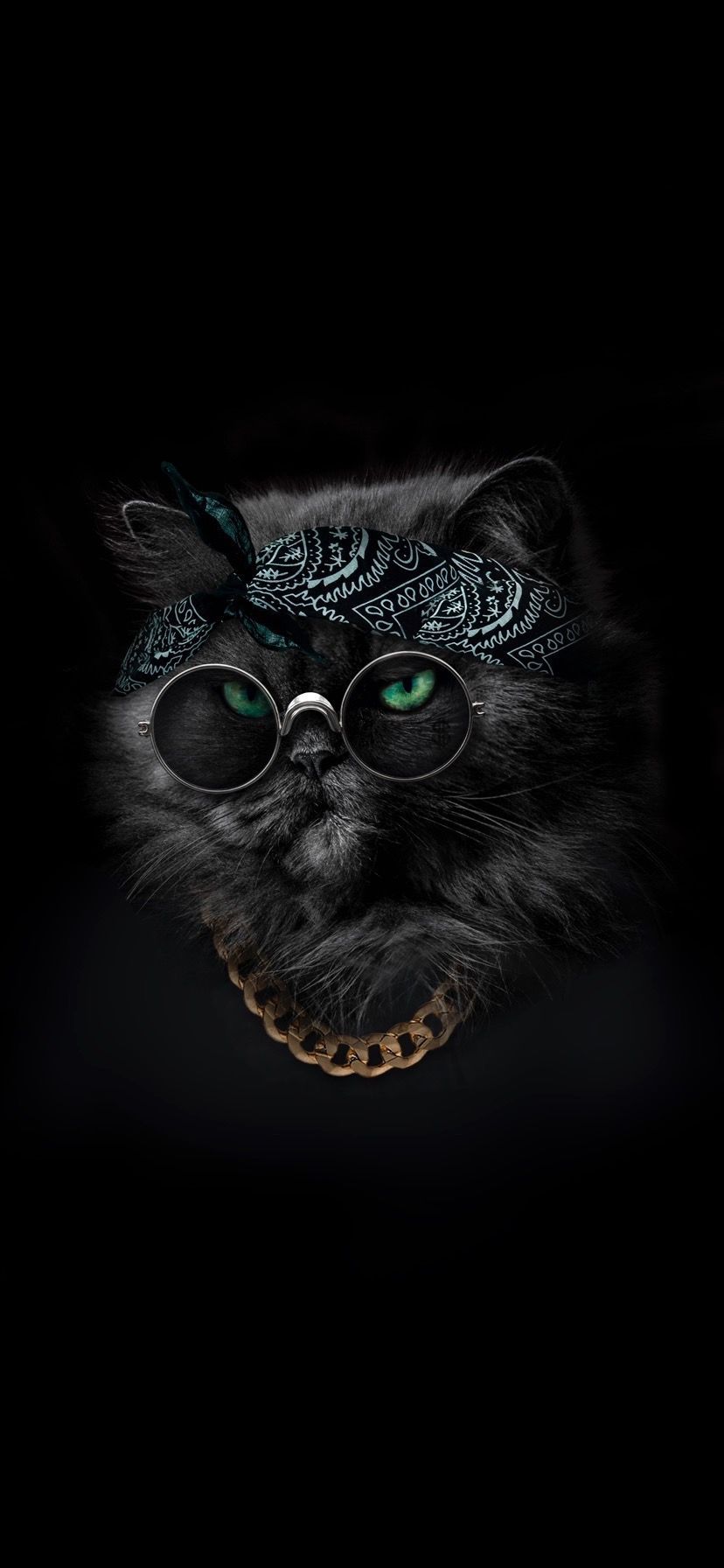 Schwarze Katze, Goldkette, Dunkel, HD, Handy-Hintergrund im Hochformat