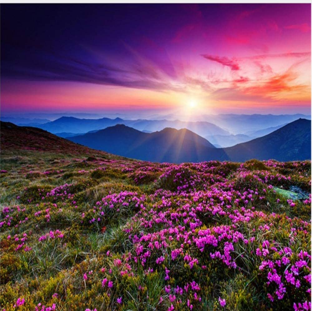 Blumenwiese, Sonnenuntergang, Bergkette, Lila Himmel, Hintergrundbild für iPad und Tablet