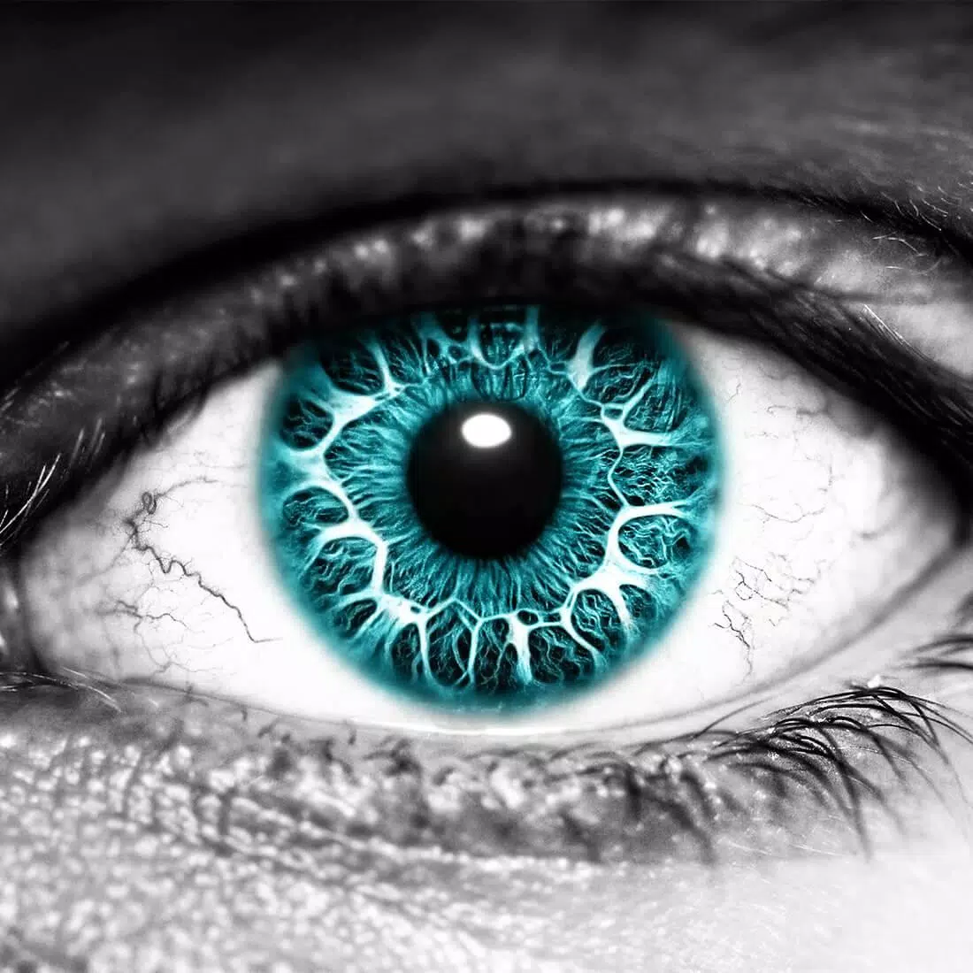 Auge, Türkise Iris, Nahaufnahme, Schwarz-Weiß, Hintergrundbild für iPad und Tablet
