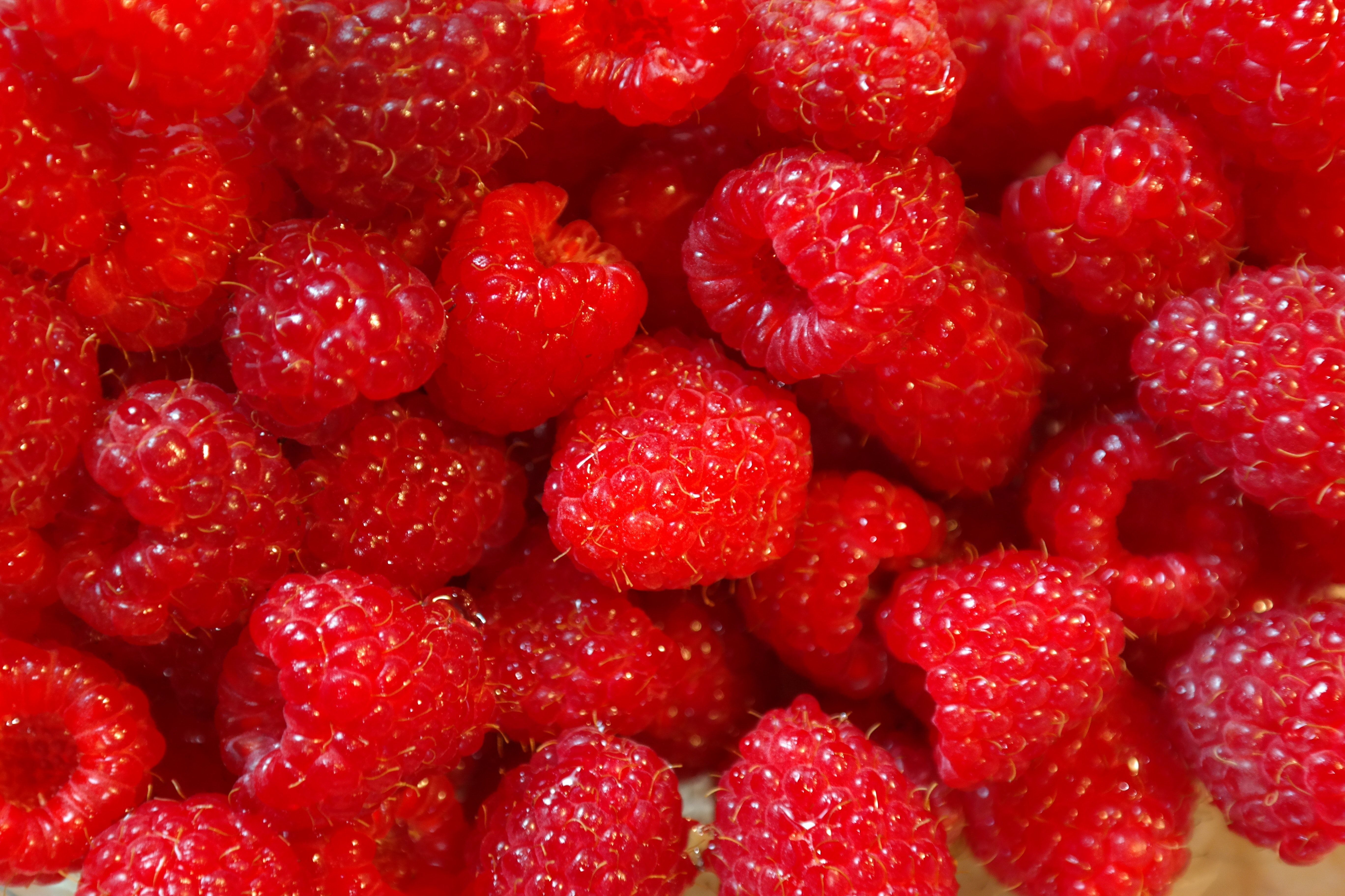 Himbeeren, Beeren, Obst, Nahaufnahme, 5K, Hintergrundbild für den PC