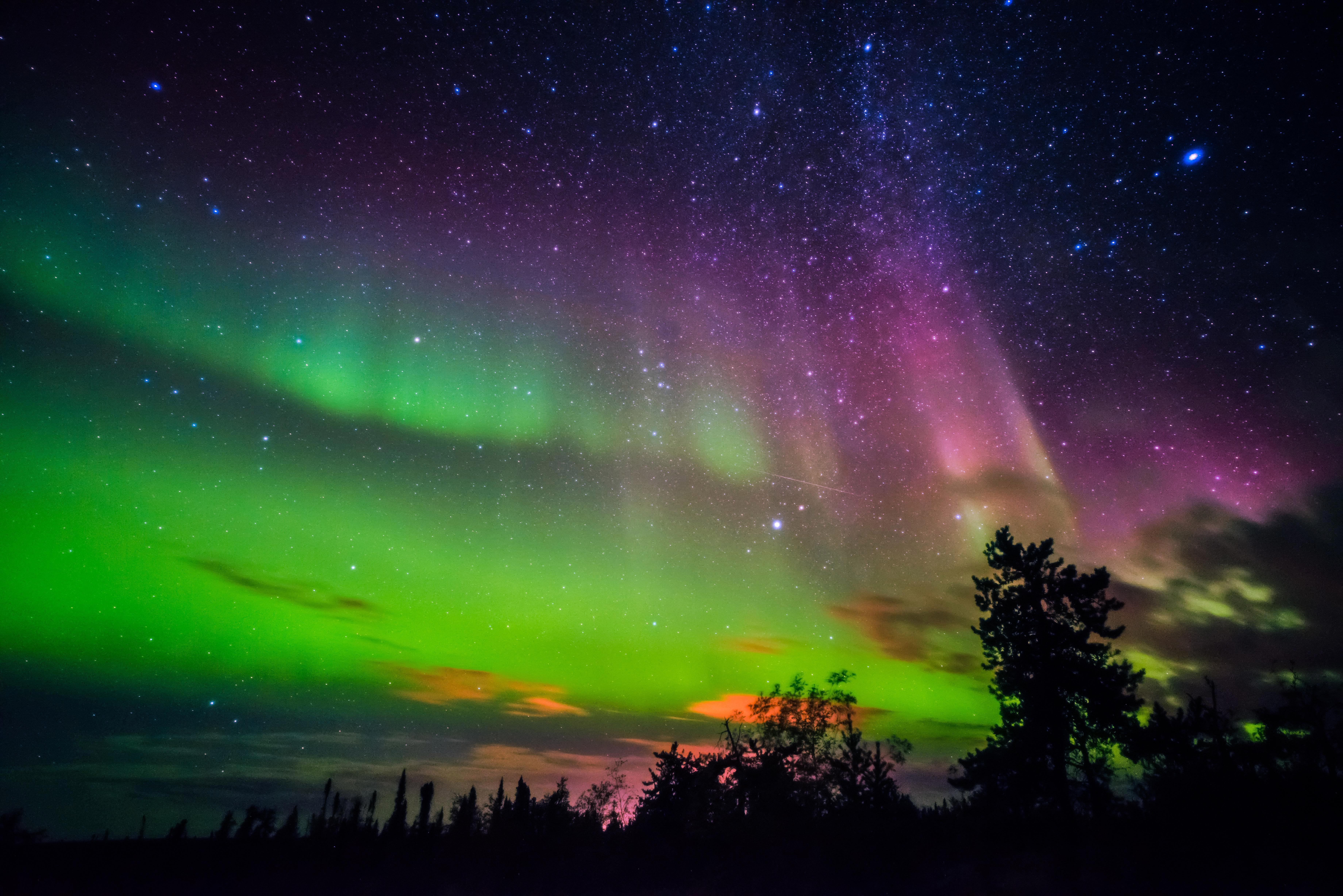 Polarlicht, Sternenhimmel, Bäume, Grün, Nacht, 6K, Hintergrundbild für den PC