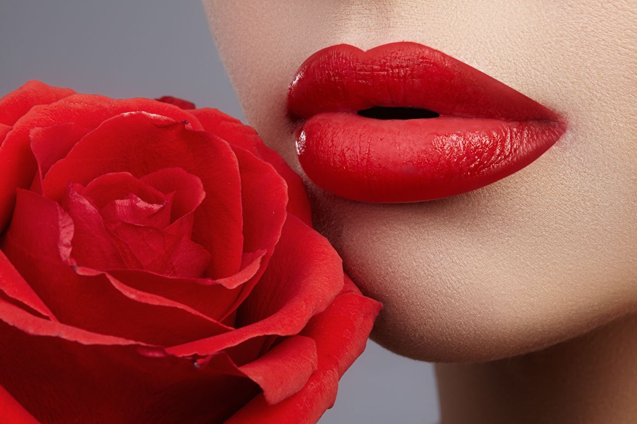Rote Lippen, Rote Rose, Lippenstift, Nahaufnahme, Sinnlich, HD, Windows-Hintergrundbild