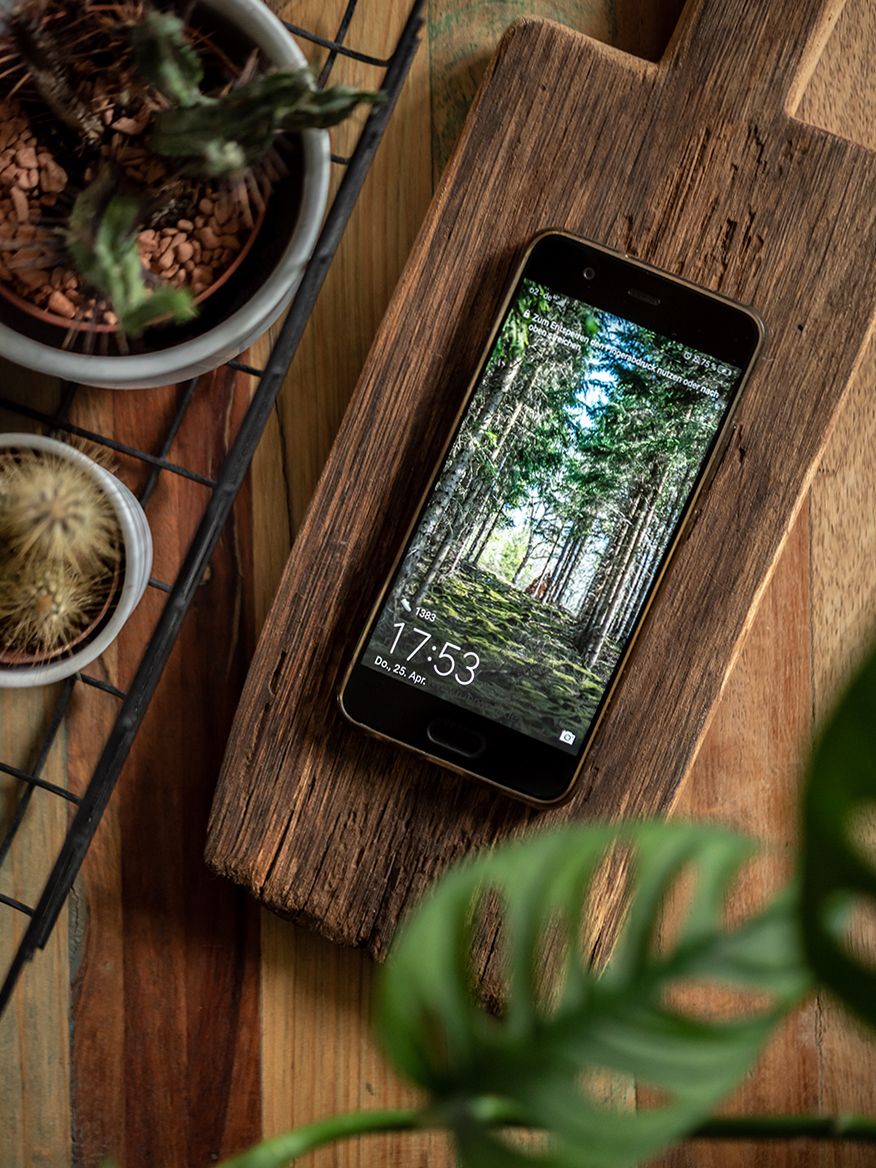 Smartphone, Holzbrett, Pflanzen, Draufsicht, HD, iPad-Hintergrundbild