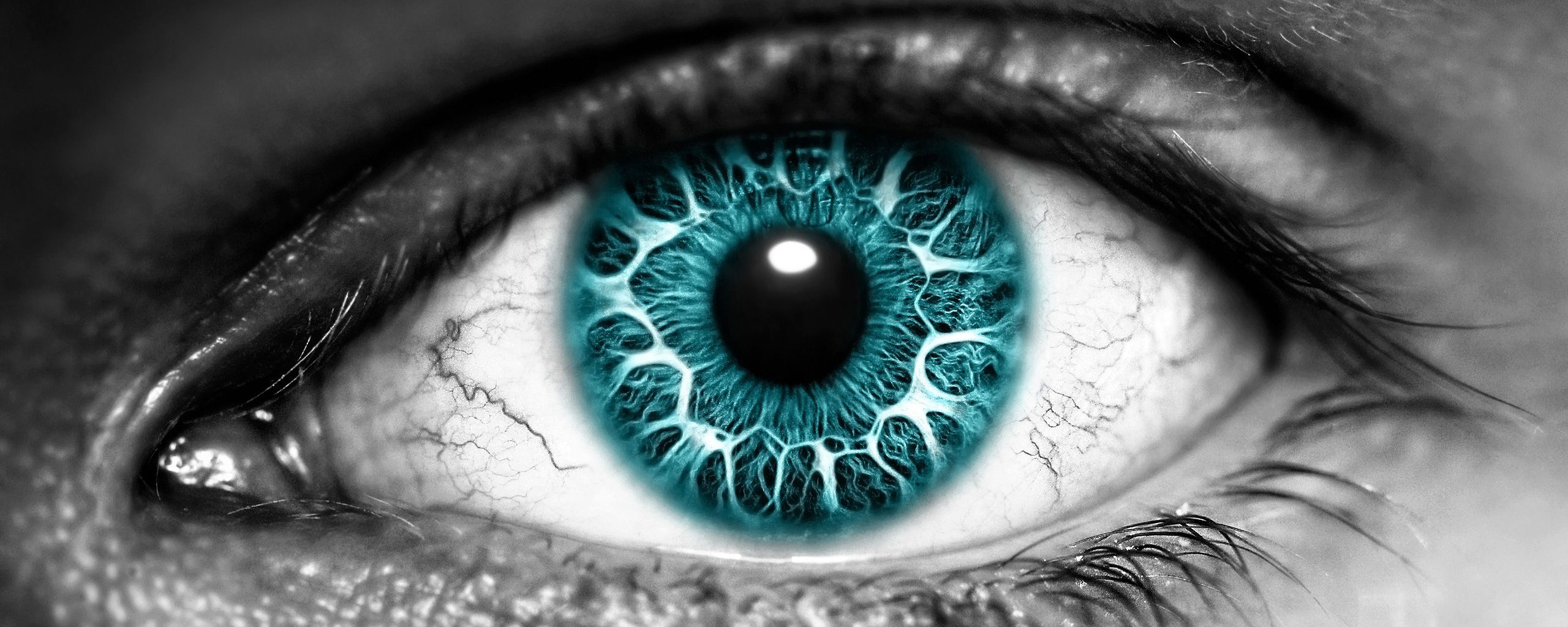 Auge, Türkise Iris, Nahaufnahme, Schwarz-Weiß, 2K, Desktop-Hintergrund für Windows