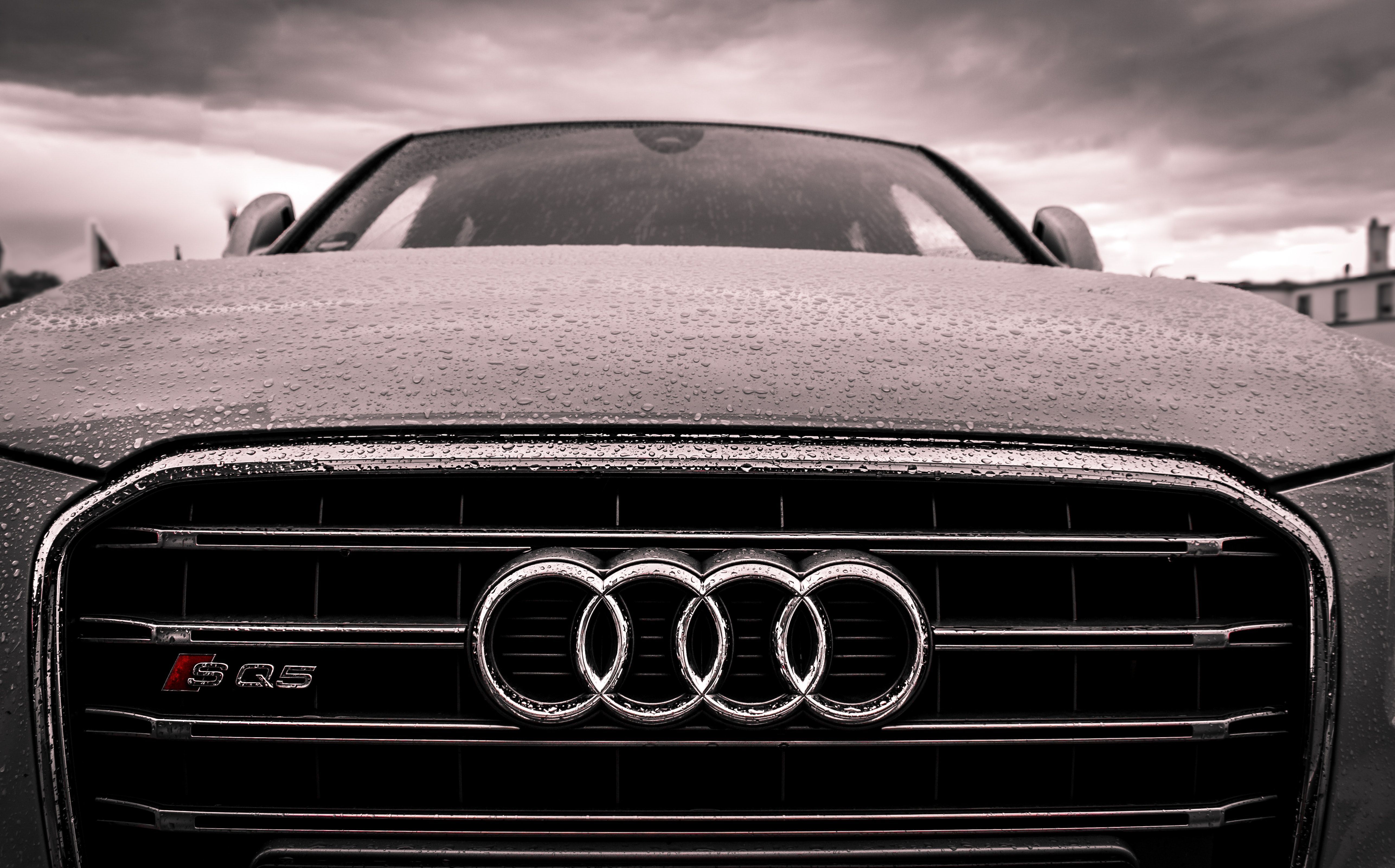 Audi SQ5, Audi, Kühlergrill, Audi-Ringe, Regentropfen, Nahaufnahme, 5K, Laptop-Hintergrundbild