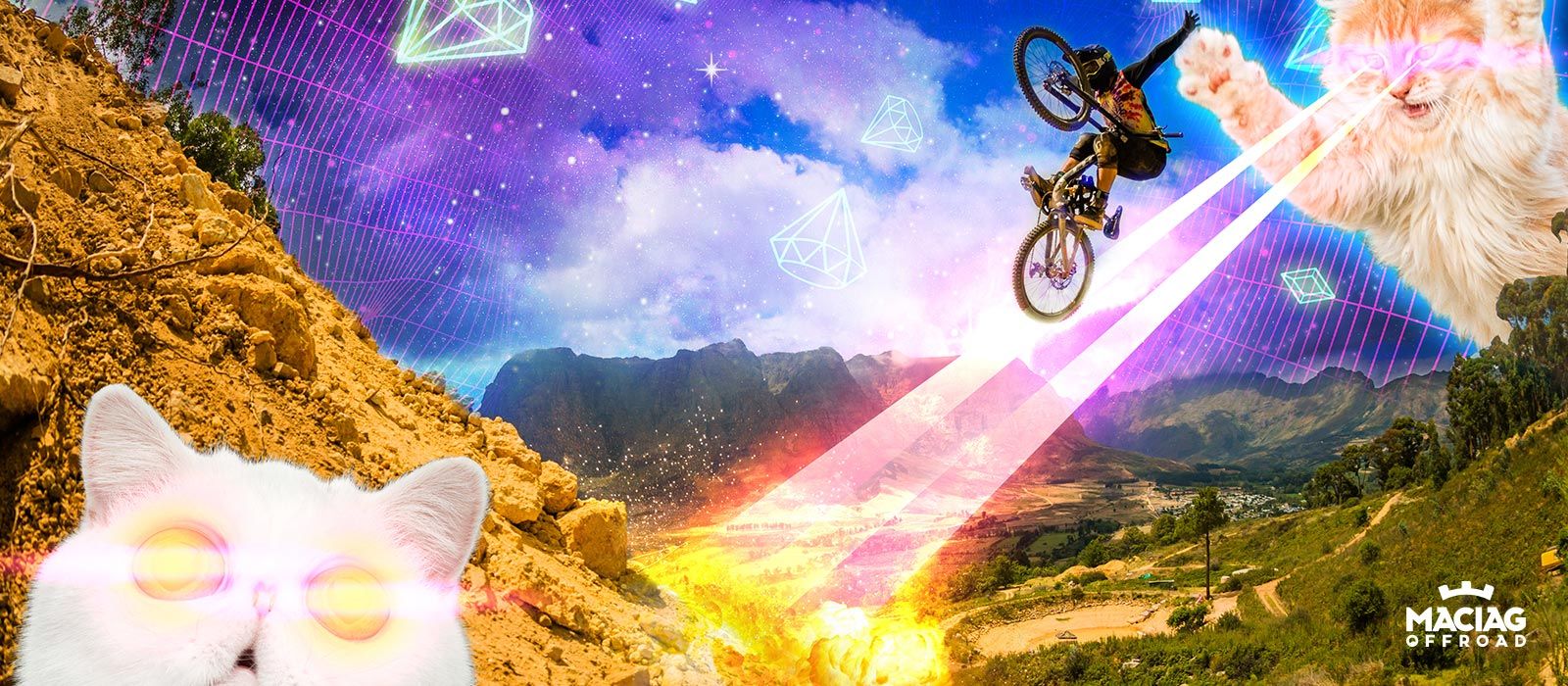 Mountainbike, Katzen, Laseraugen, Collage, Surreal, HD, Hintergrundbild für den PC