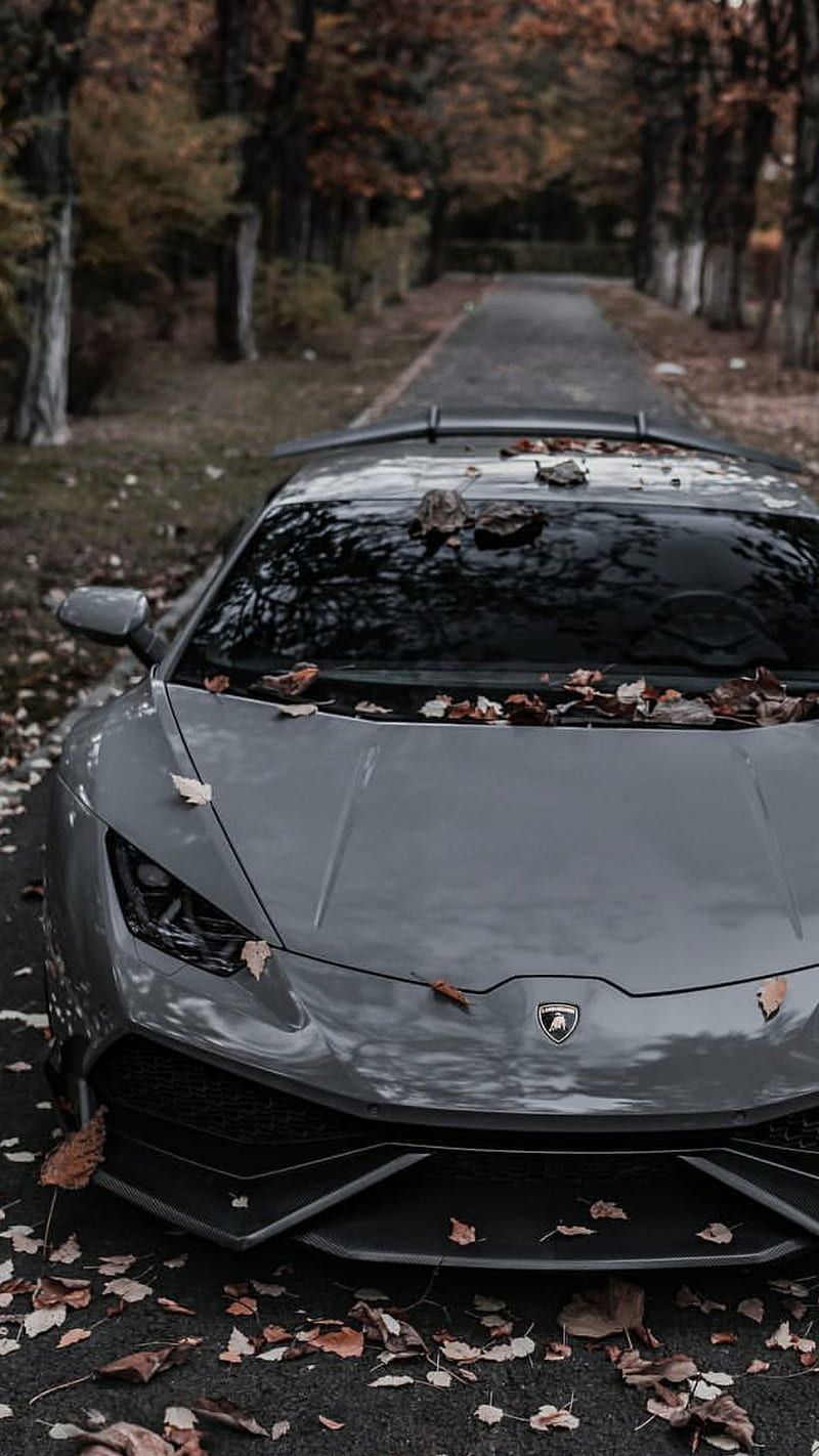 Lamborghini Huracán, Grauer Supersportwagen, Herbstlaub, Waldweg, Frontansicht, Hochformat-Hintergrundbild