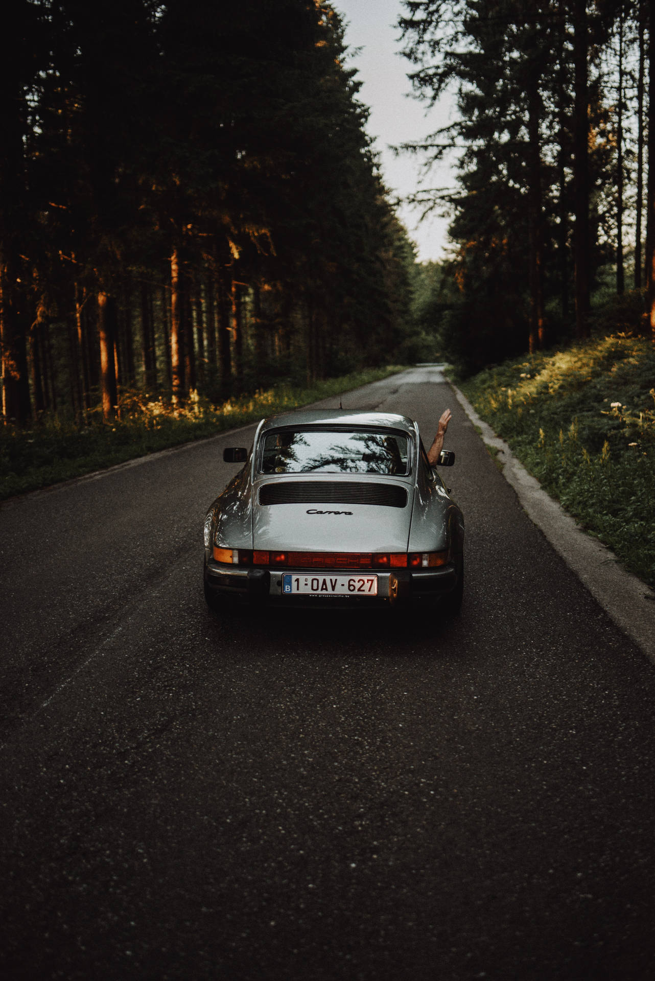 Porsche 911, Porsche, Klassiker, Waldstraße, Abendlicht, Heckansicht, Hintergrundbild fürs iPad