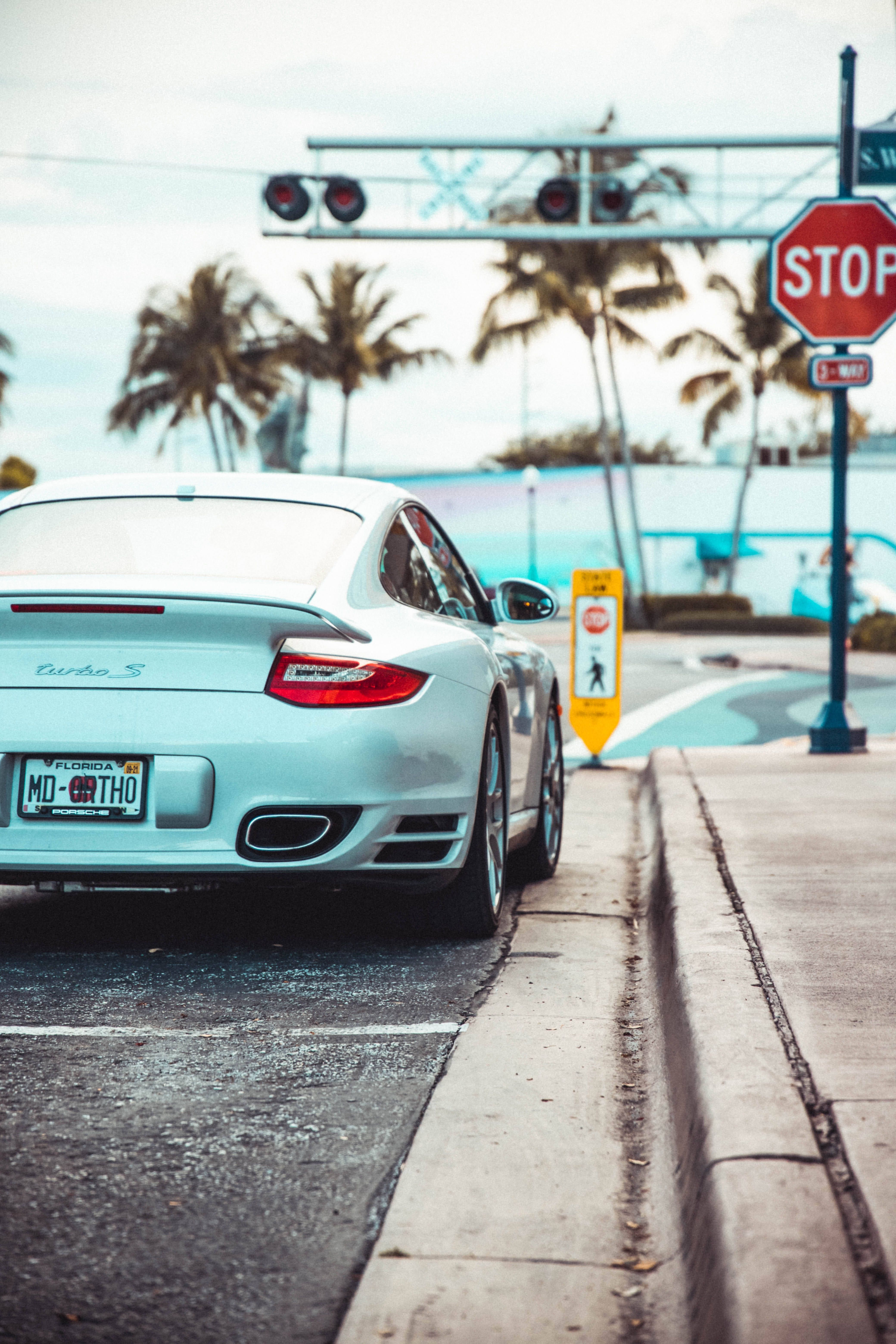 Porsche 911 Turbo, Porsche, Palmen, Stoppschild, Weißer Sportwagen, Heckansicht, Handy-Hintergrundbild