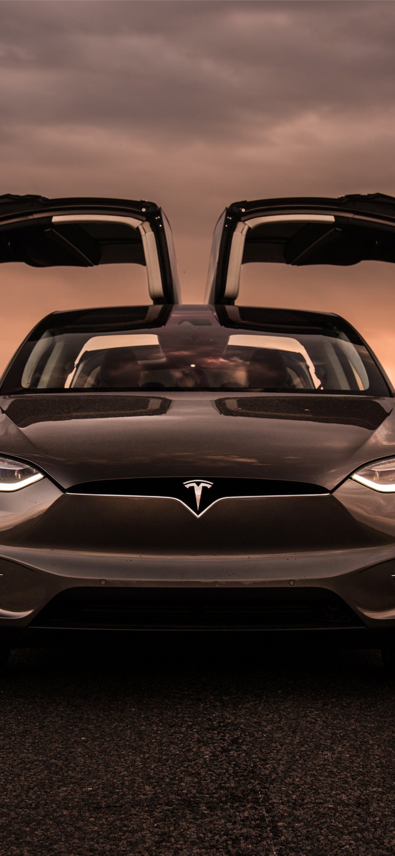 Tesla Model X, Tesla, Flügeltüren, Frontansicht, Abendhimmel, Full HD, iPhone-Hintergrundbild