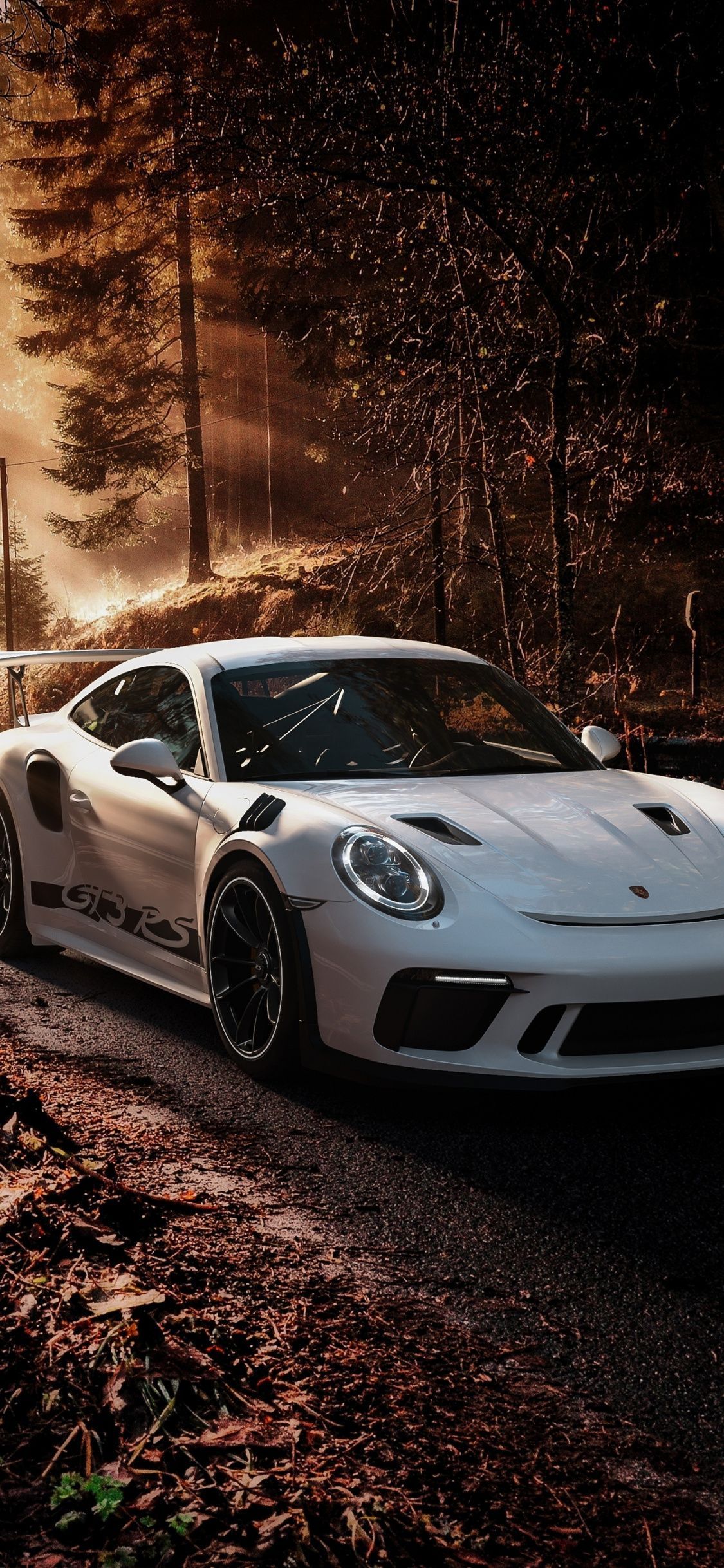 Porsche 911 GT3, Porsche, Wald, Weißer Sportwagen, Herbst, Waldweg, Android-Hintergrundbild