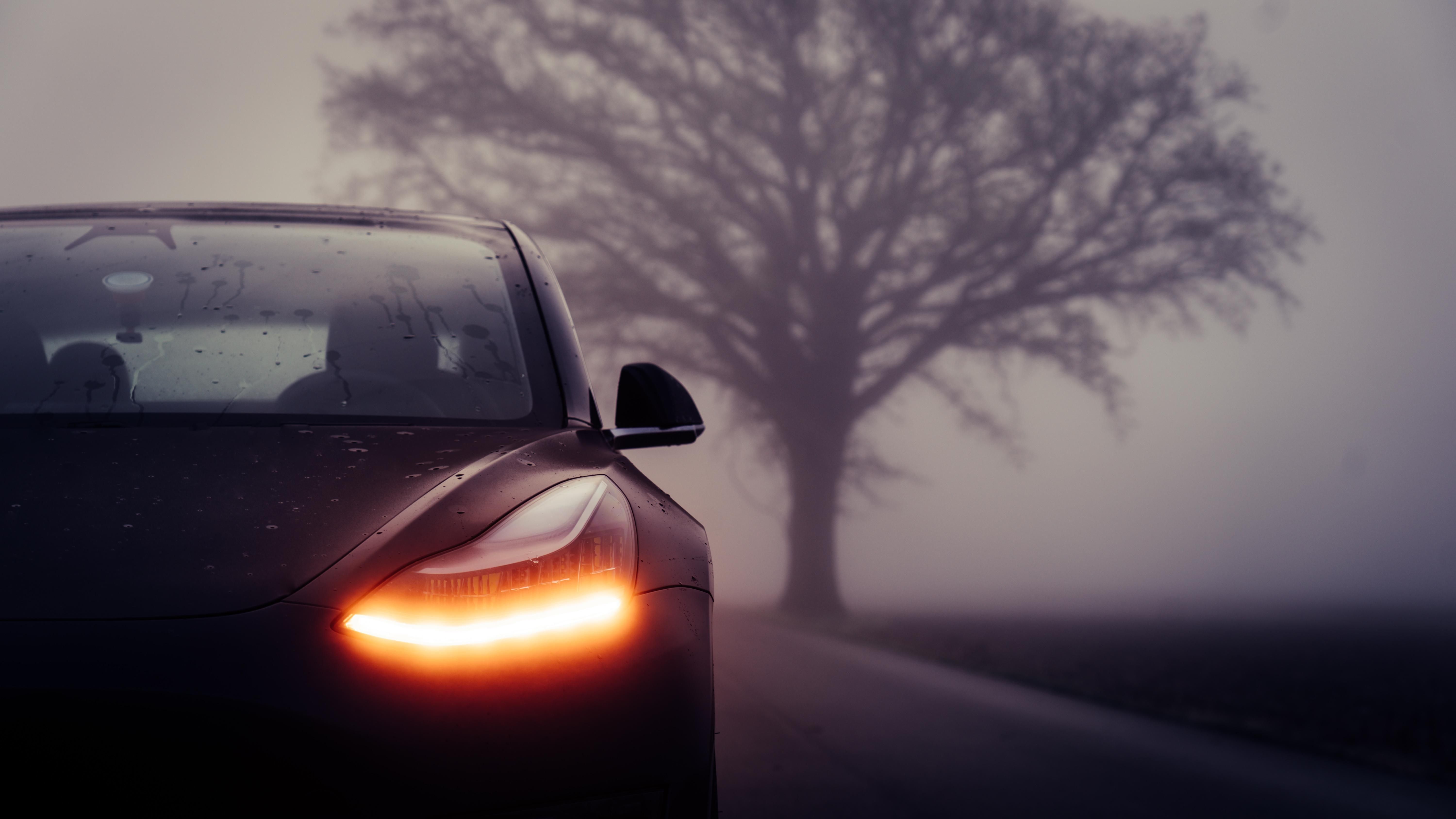 Tesla Model 3, Tesla, Nebel, Scheinwerfer, Kahler Baum, Düster, 6K-Hintergrundbild für PC