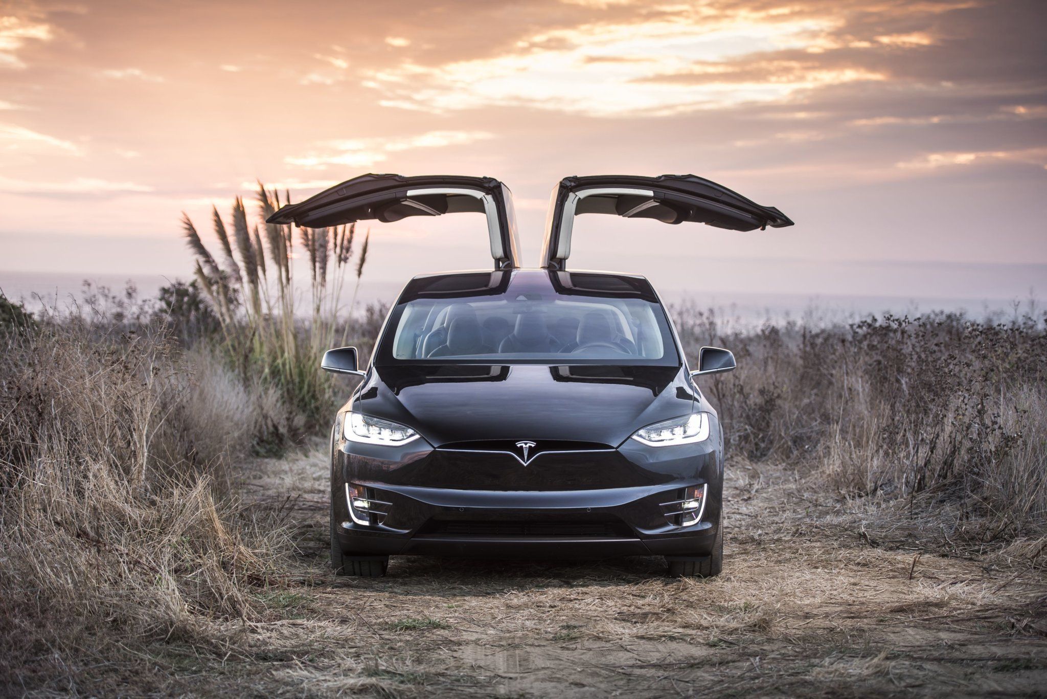 Tesla Model X, Tesla, Flügeltüren, Pampasgras, Abendlicht, SUV, Full HD, Laptop-Hintergrundbild