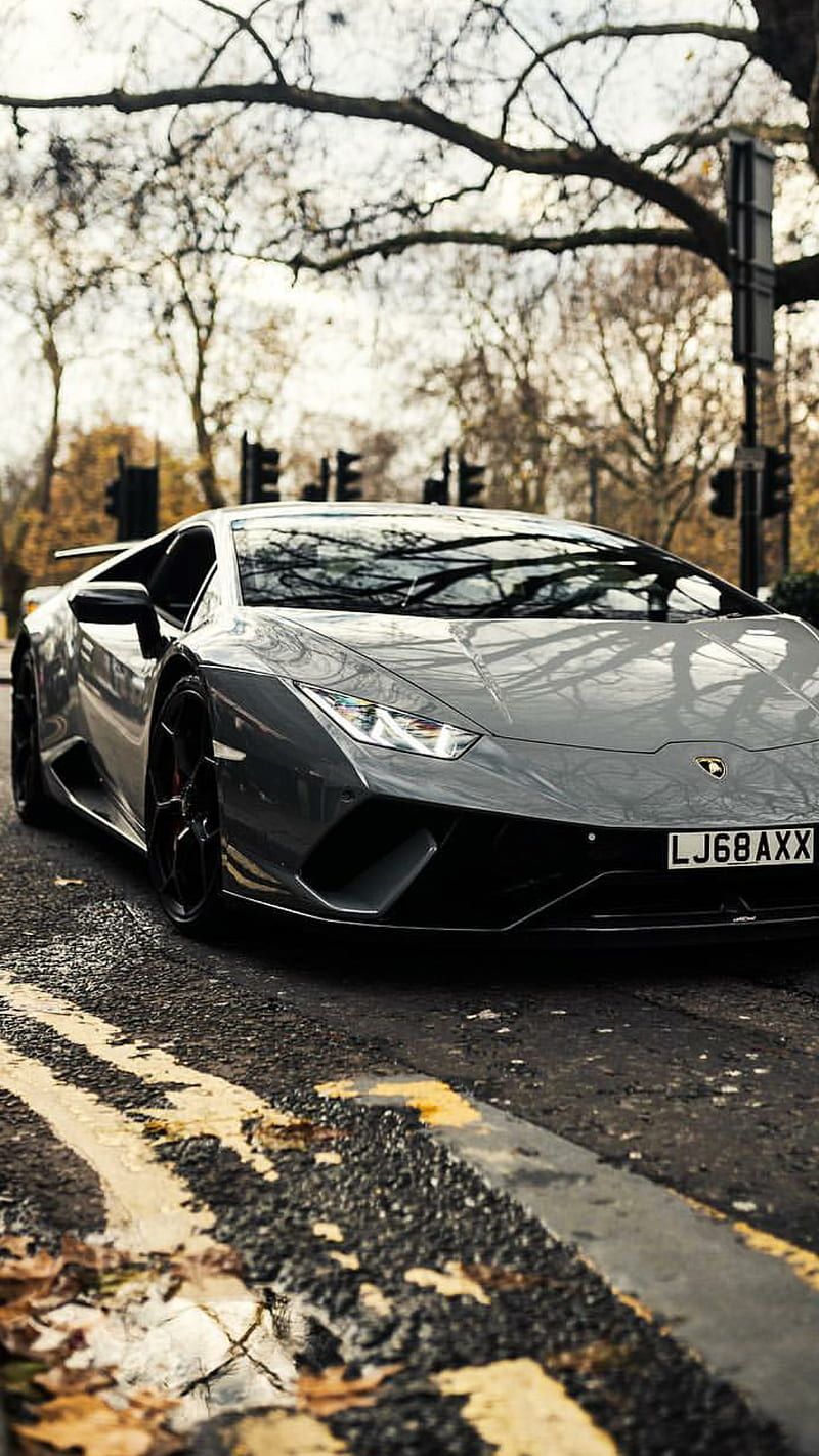Lamborghini Huracán, Grauer Supersportwagen, Herbst, Straße, Bäume, HD, Handy-Hintergrundbild