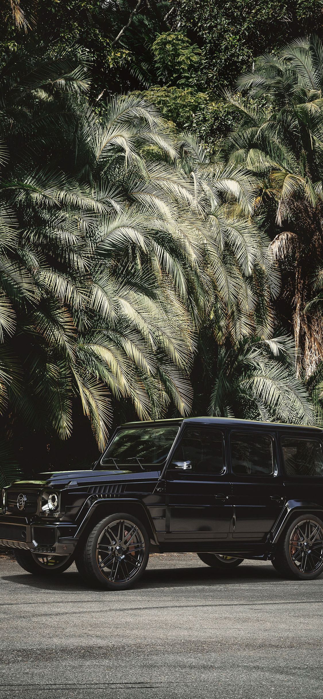 Mercedes G-Klasse, Schwarz, Palmen, Geländewagen, Full HD, Hintergrundbild fürs Handy