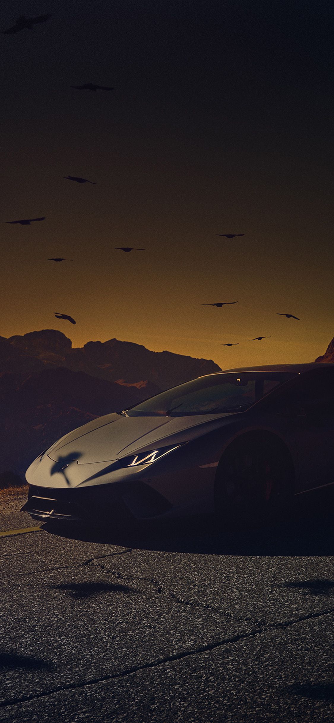 Lamborghini, Silhouette, Dämmerung, Vögel, Dunkle Stimmung, 1125x2436, Handy-Hintergrund