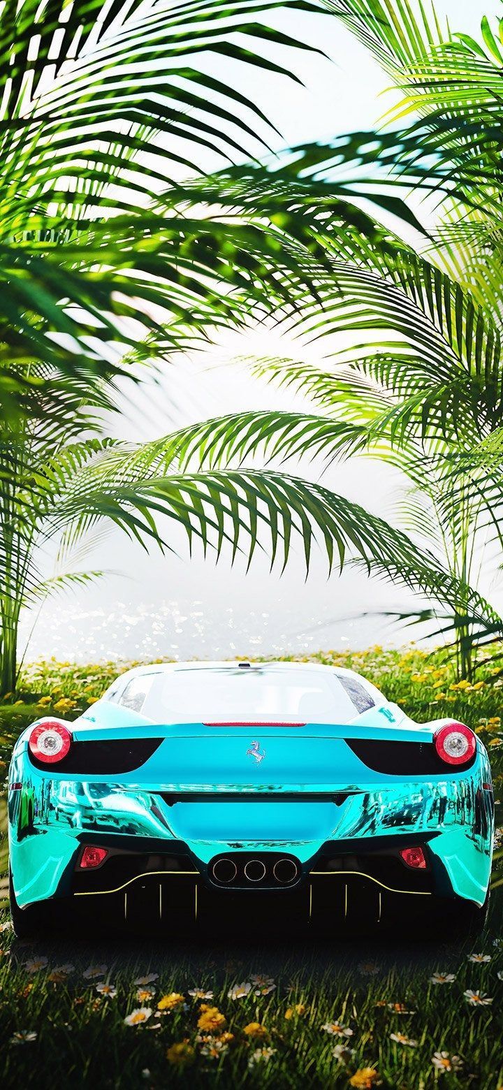 Ferrari, Türkiser Sportwagen, Palmenblätter, Heckansicht, HD, iPhone-Hintergrundbild