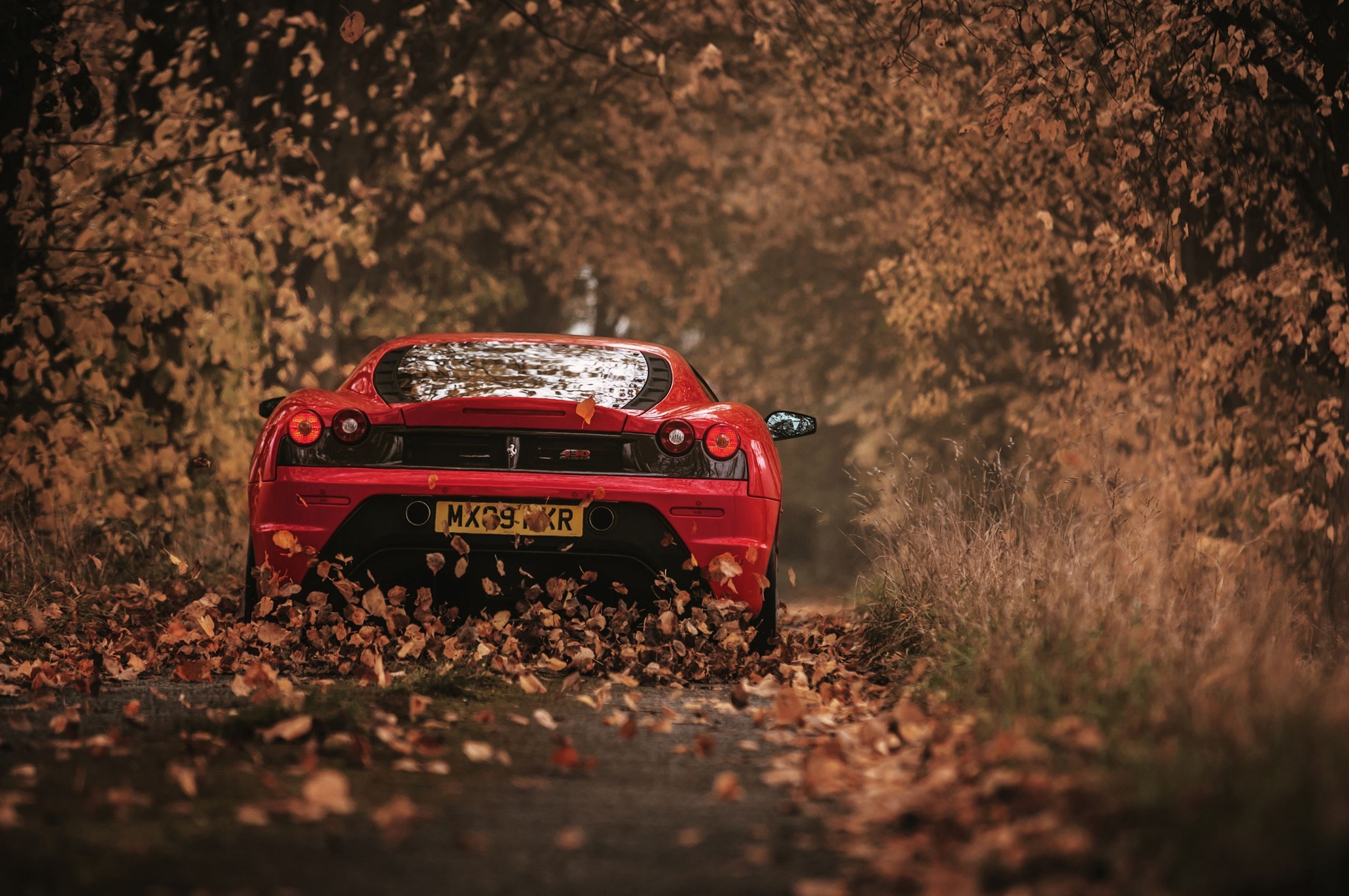 Ferrari F430, Heckansicht, Herbstlaub, Wald, 2K, Hintergrundbild für den PC