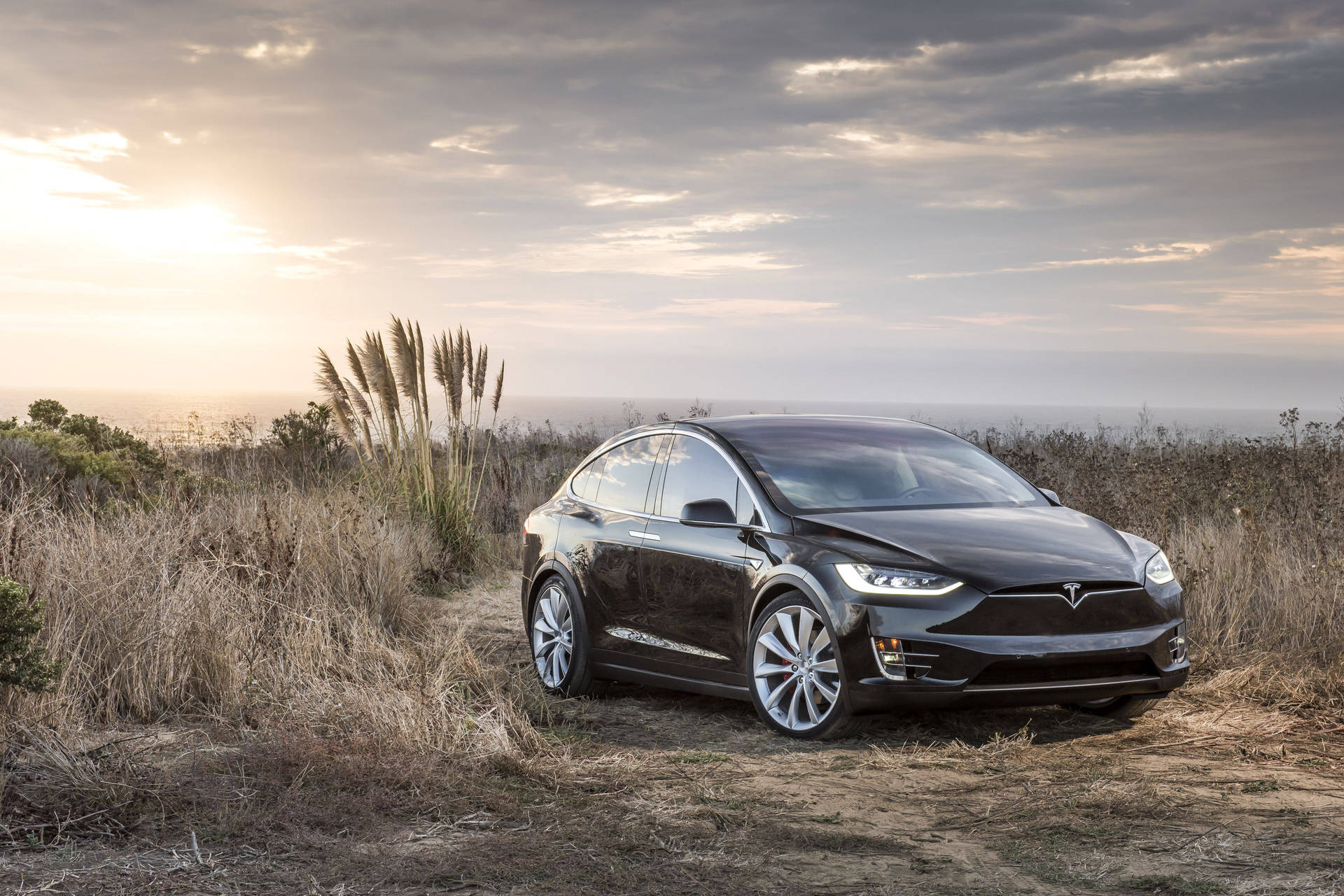 Tesla Model X, Tesla, Pampasgras, Wolken, Graues SUV, Wiese, Full HD, PC-Hintergrundbild